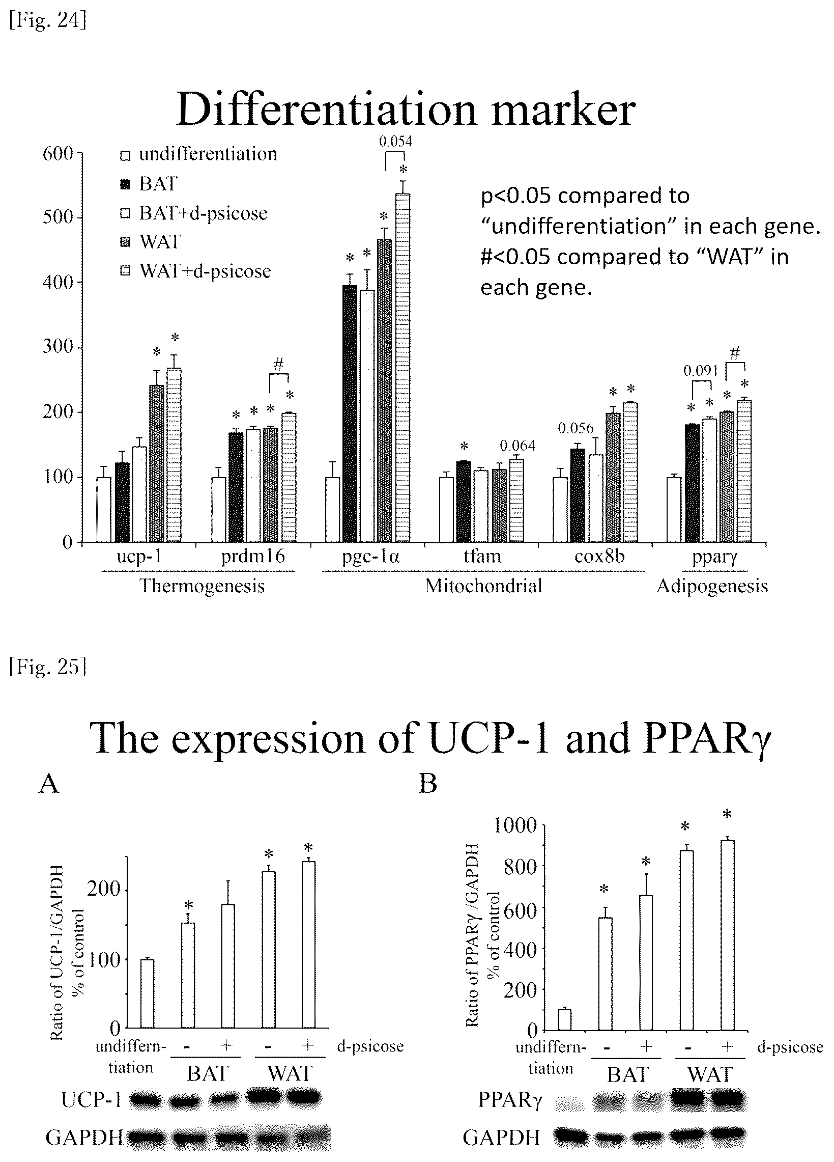 Patent US12318400 Figure 15 – Brown and beige adipocyte activating agent containing D-allulose as active ingredient