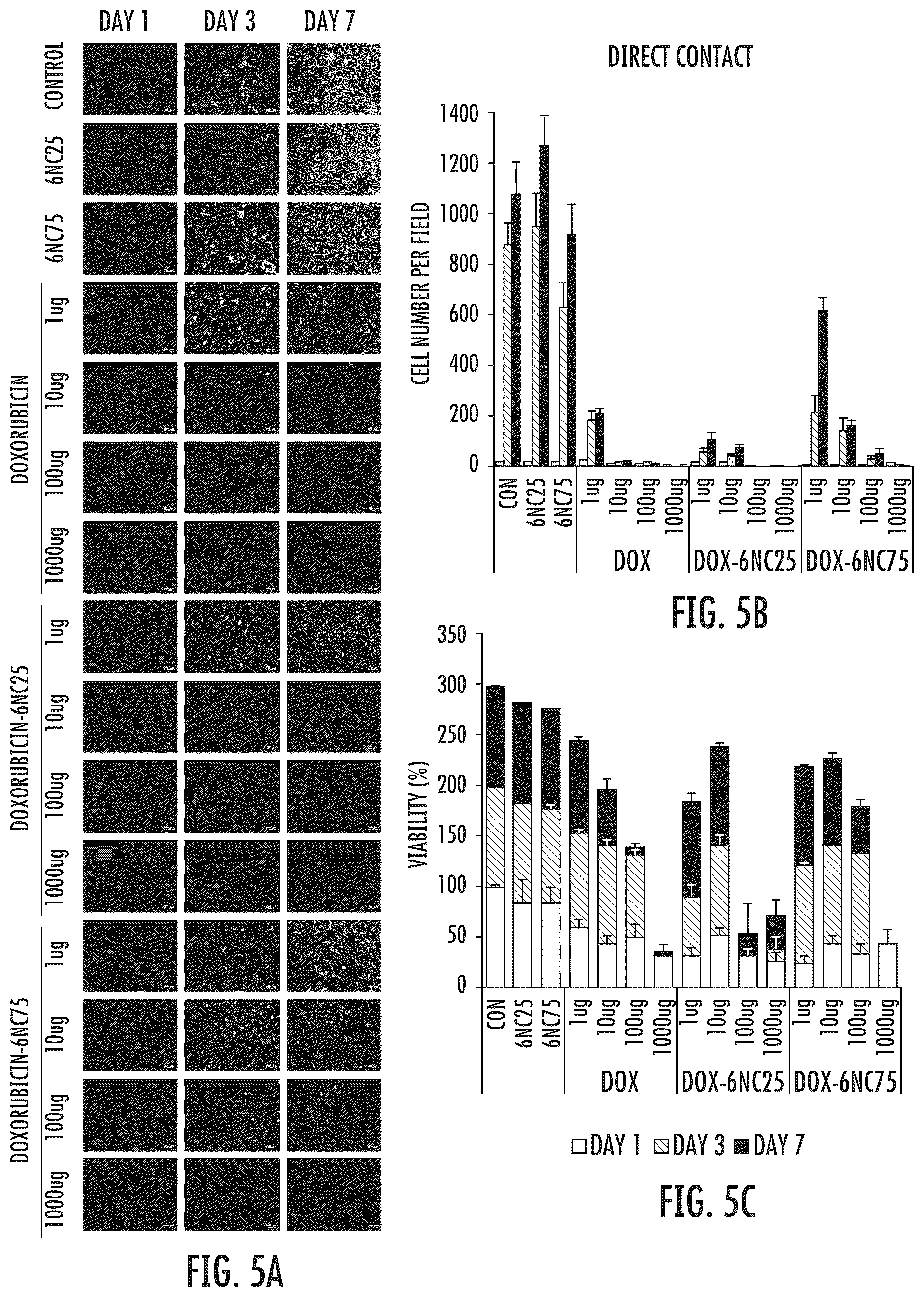 Patent US12318401 Figure 5 – Injectable shear-thinning hydrogel containing therapeutic agent for enhanced tumor therapy