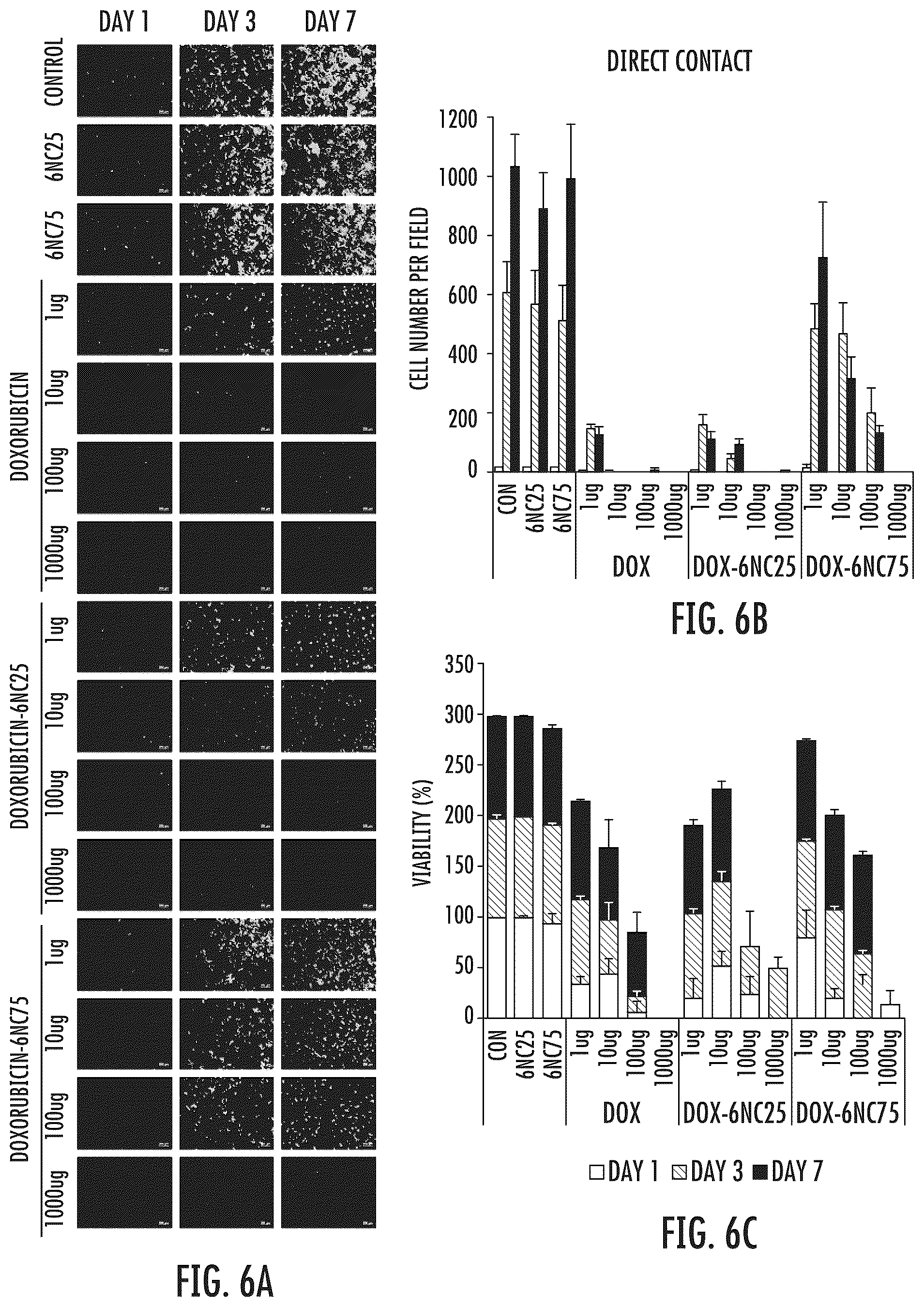 Patent US12318401 Figure 6 – Injectable shear-thinning hydrogel containing therapeutic agent for enhanced tumor therapy