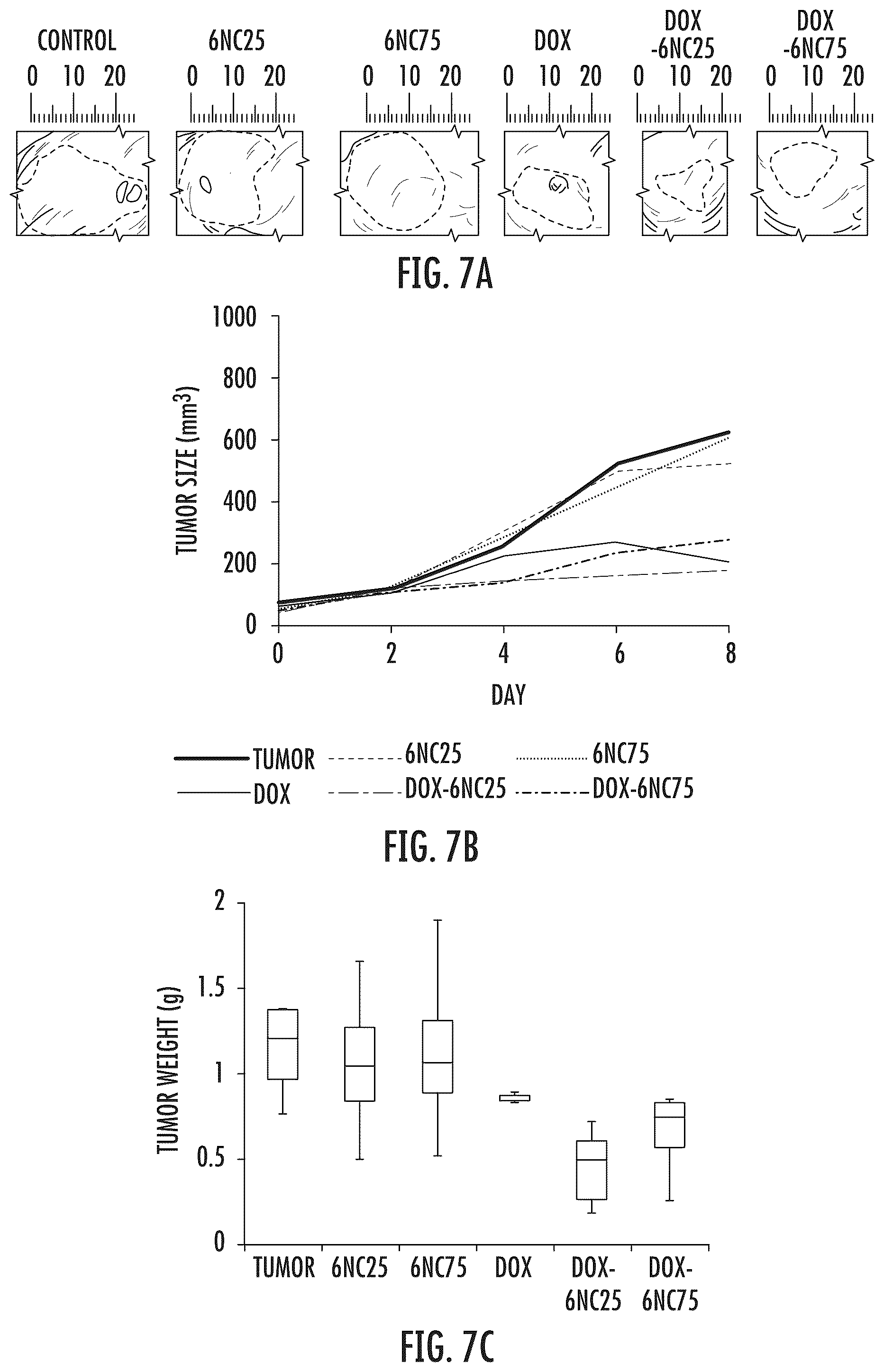 Patent US12318401 Figure 7 – Injectable shear-thinning hydrogel containing therapeutic agent for enhanced tumor therapy