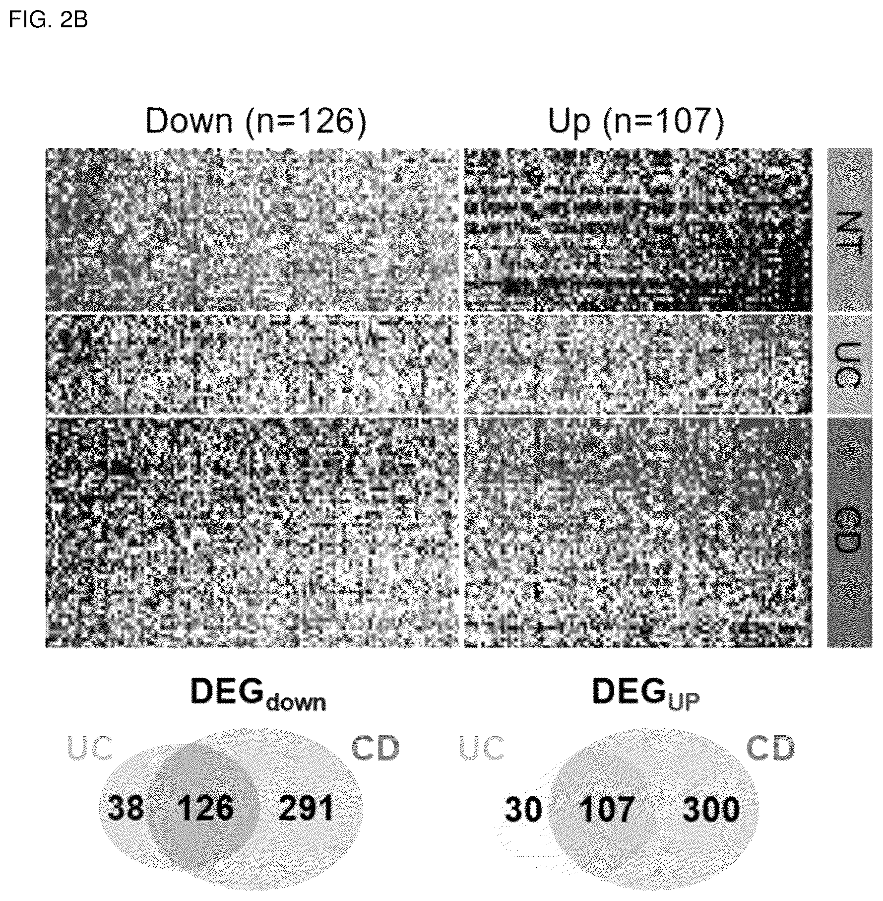 Patent US12318402 Figure 6 – Composition for treating or preventing colitis by NAMPT metabolic regulation
