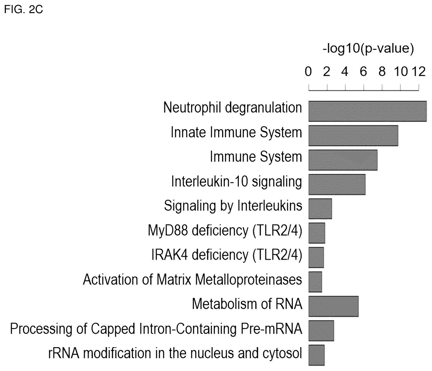 Patent US12318402 Figure 7 – Composition for treating or preventing colitis by NAMPT metabolic regulation