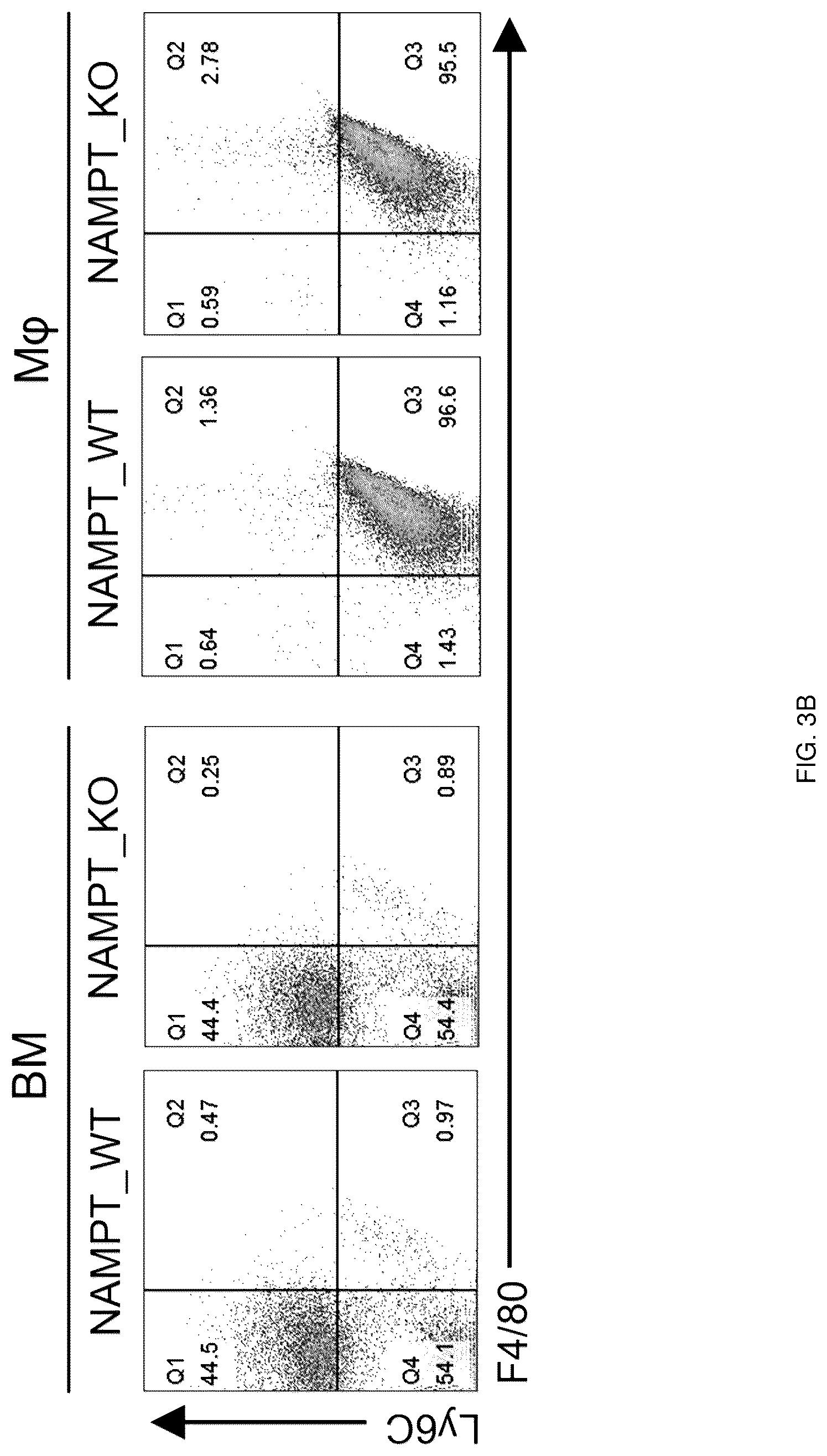 Patent US12318402 Figure 10 – Composition for treating or preventing colitis by NAMPT metabolic regulation