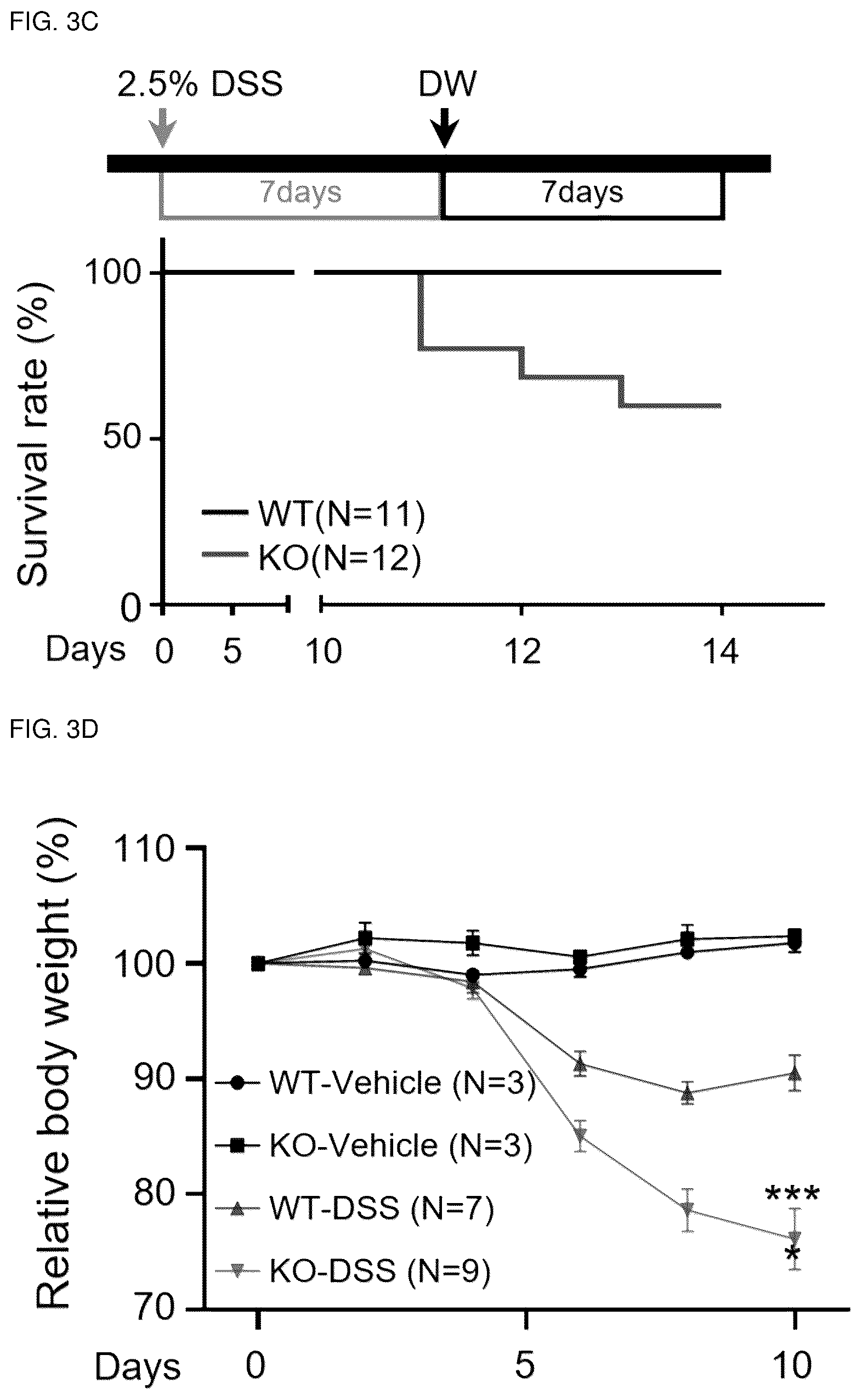Patent US12318402 Figure 11 – Composition for treating or preventing colitis by NAMPT metabolic regulation