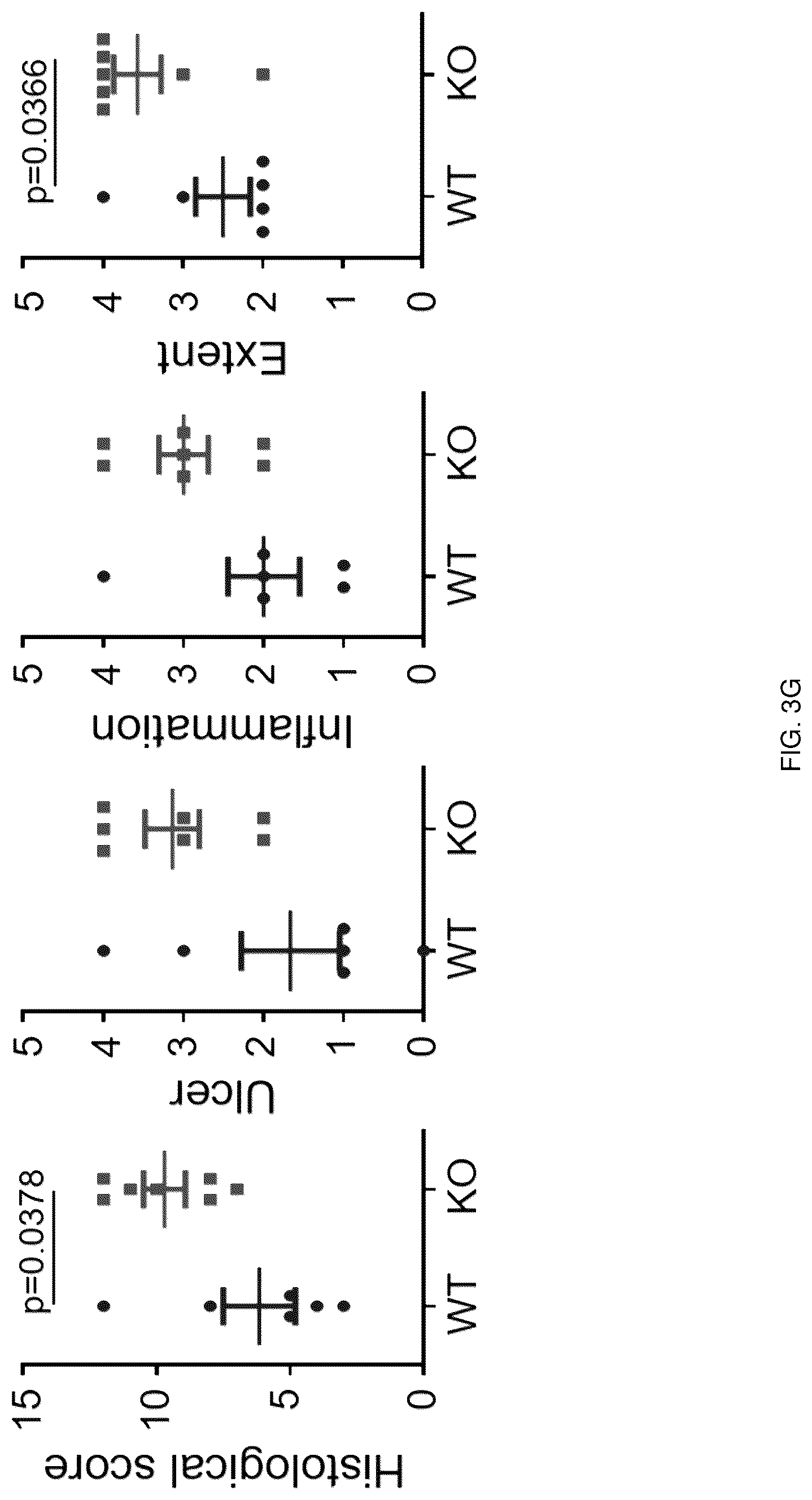 Patent US12318402 Figure 14 – Composition for treating or preventing colitis by NAMPT metabolic regulation