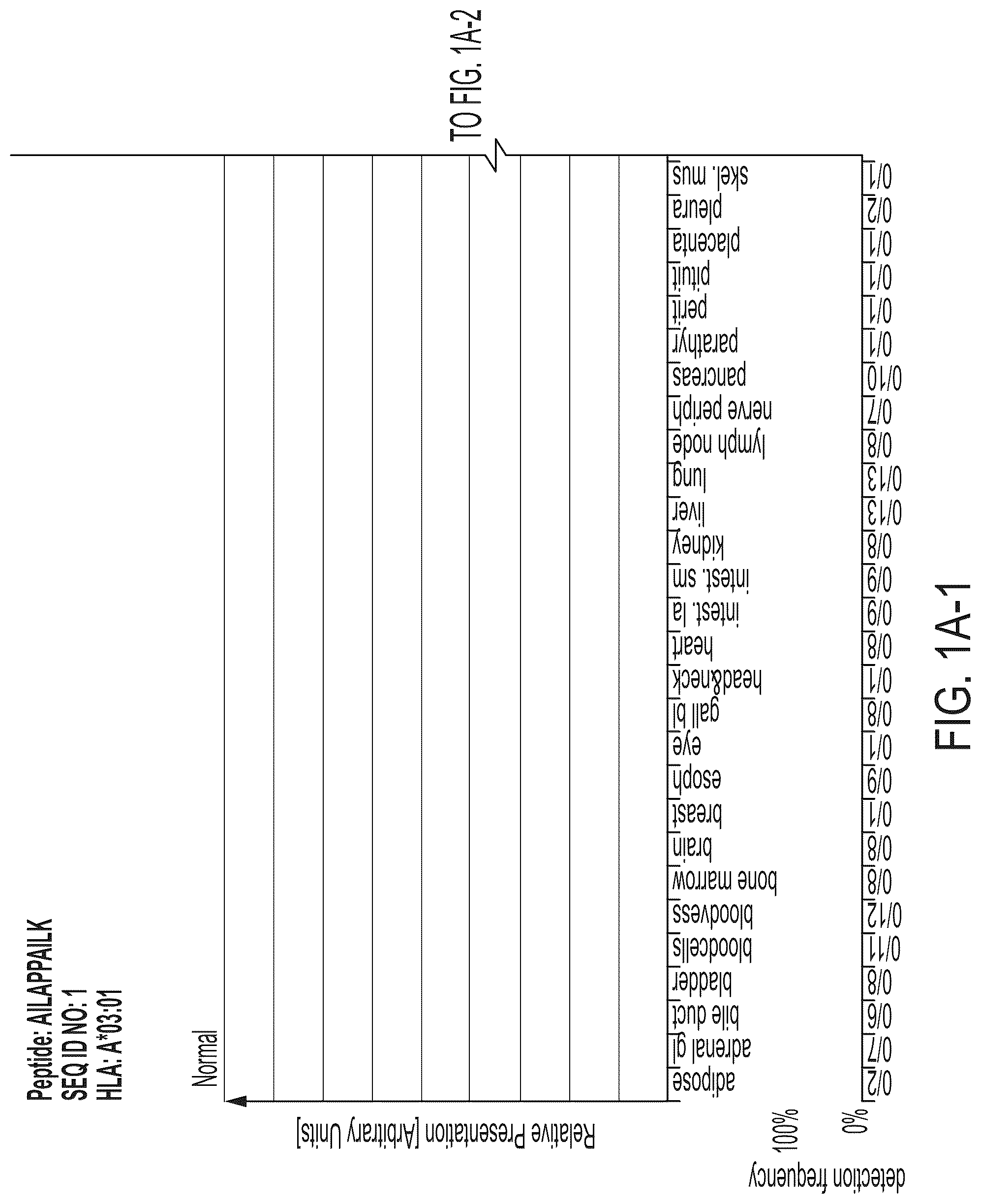 Patent US12318407 Figure 1 – Peptides displayed by HLA for use in immunotherapy against different types of cancers