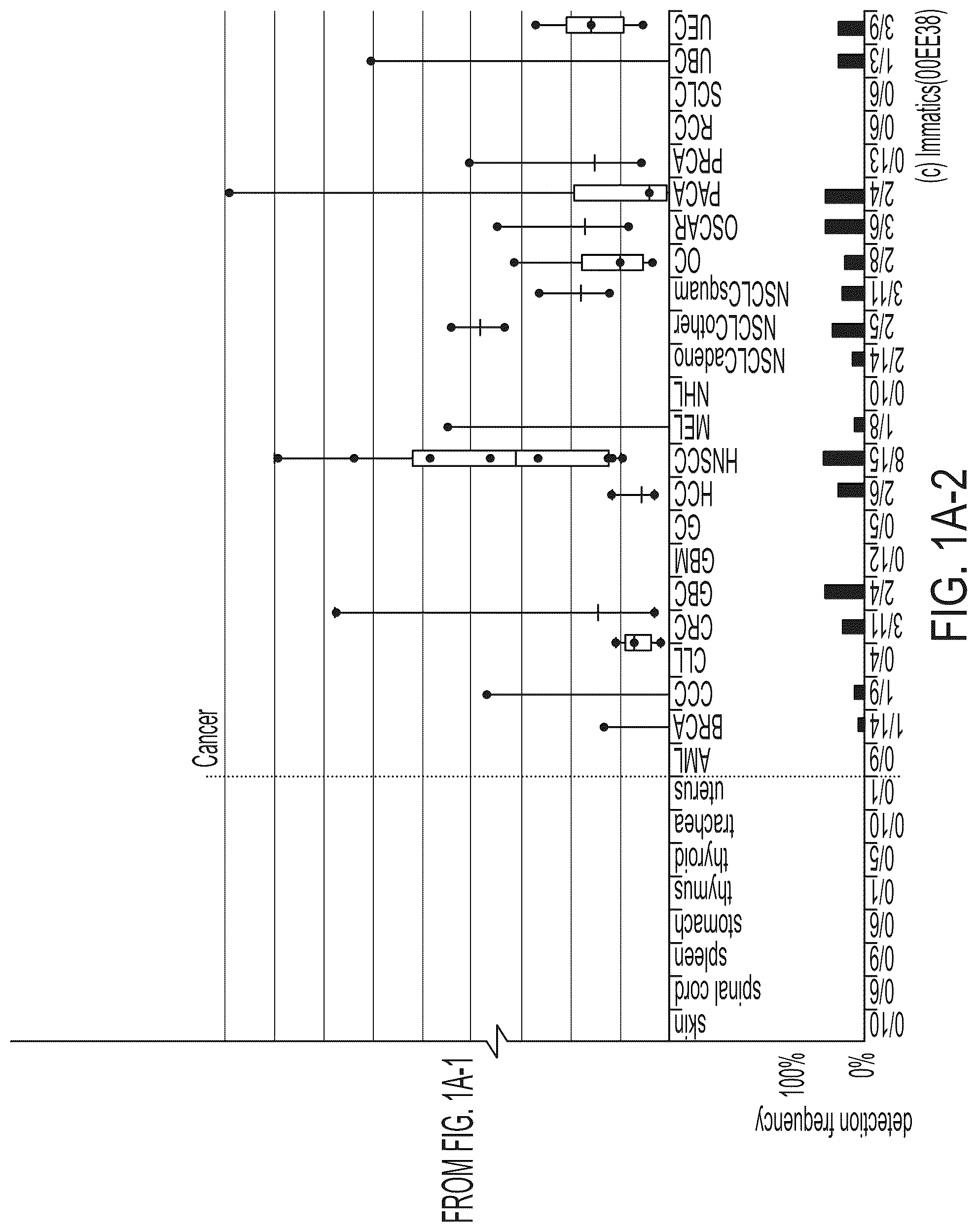 Patent US12318407 Figure 2 – Peptides displayed by HLA for use in immunotherapy against different types of cancers