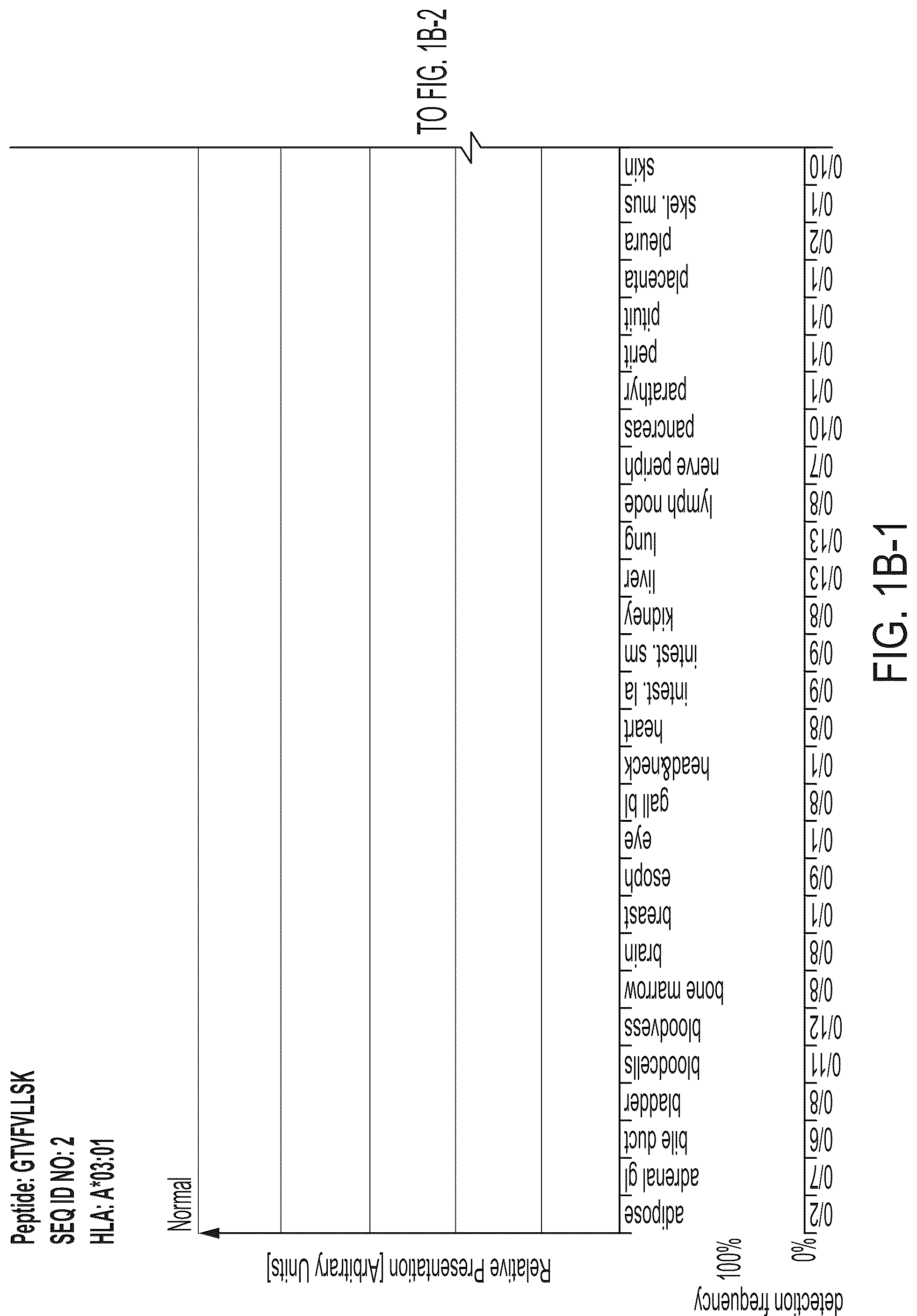 Patent US12318407 Figure 3 – Peptides displayed by HLA for use in immunotherapy against different types of cancers