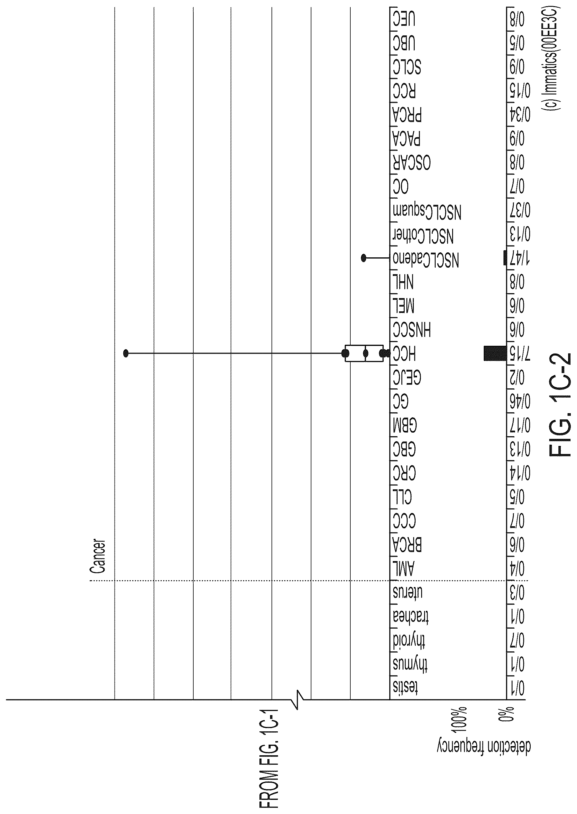 Patent US12318407 Figure 6 – Peptides displayed by HLA for use in immunotherapy against different types of cancers