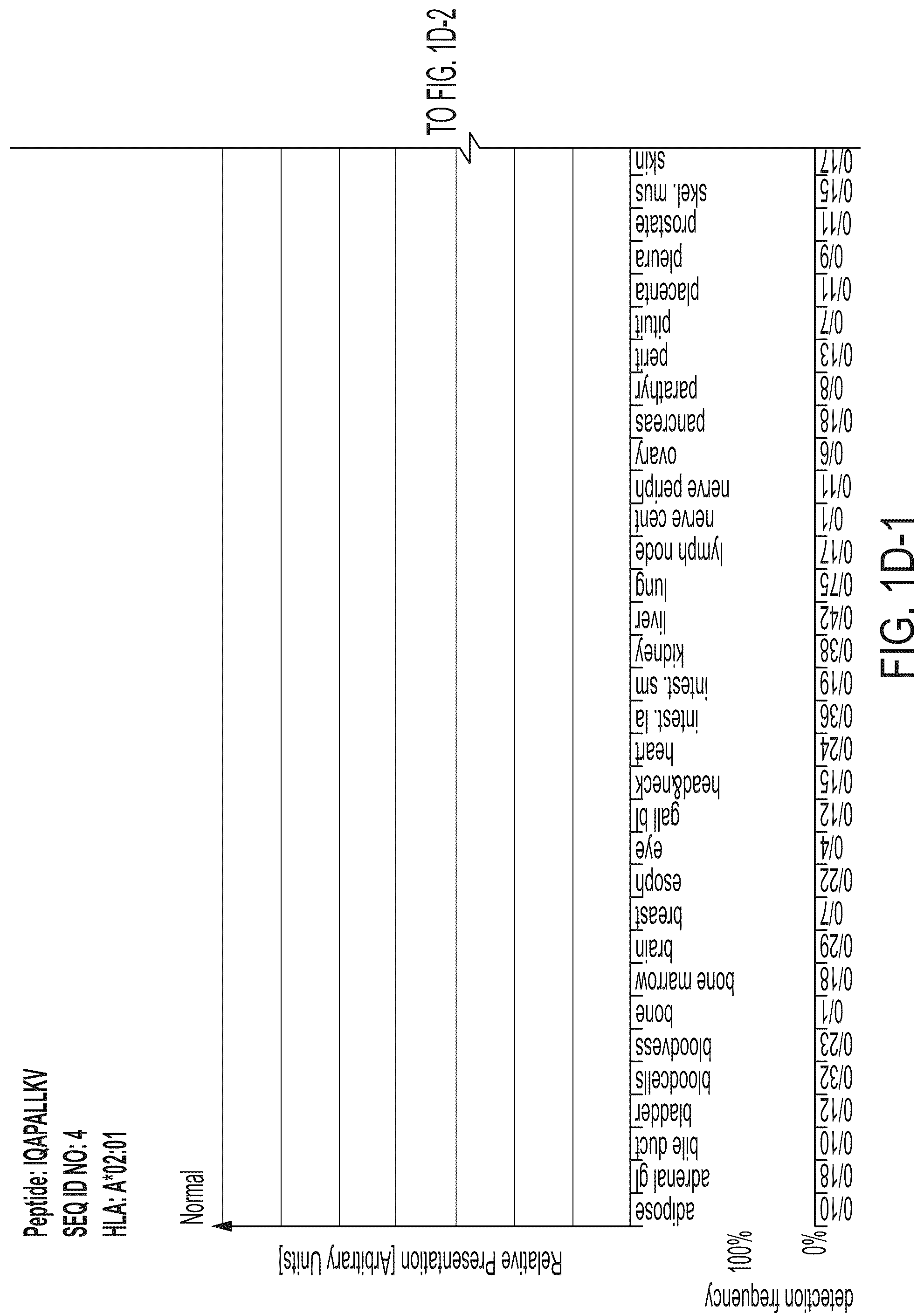 Patent US12318407 Figure 7 – Peptides displayed by HLA for use in immunotherapy against different types of cancers