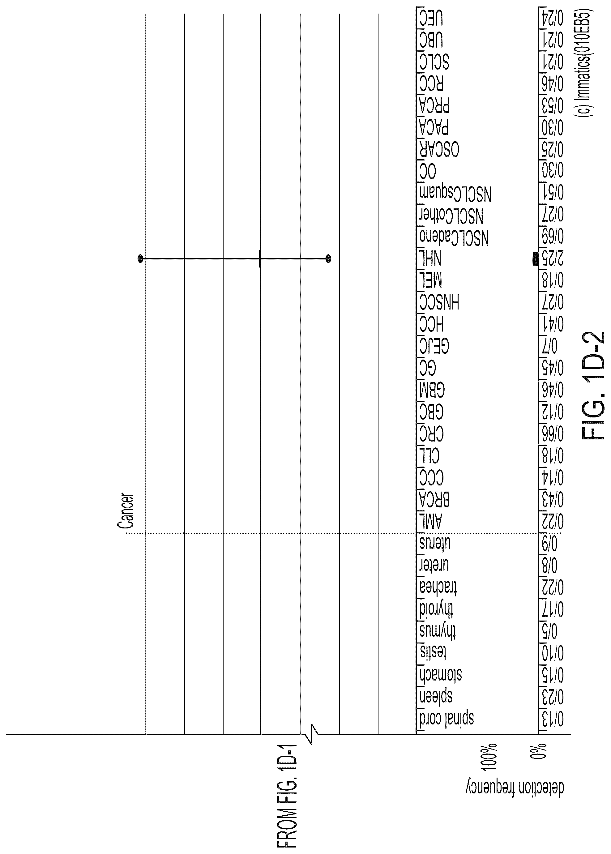 Patent US12318407 Figure 8 – Peptides displayed by HLA for use in immunotherapy against different types of cancers