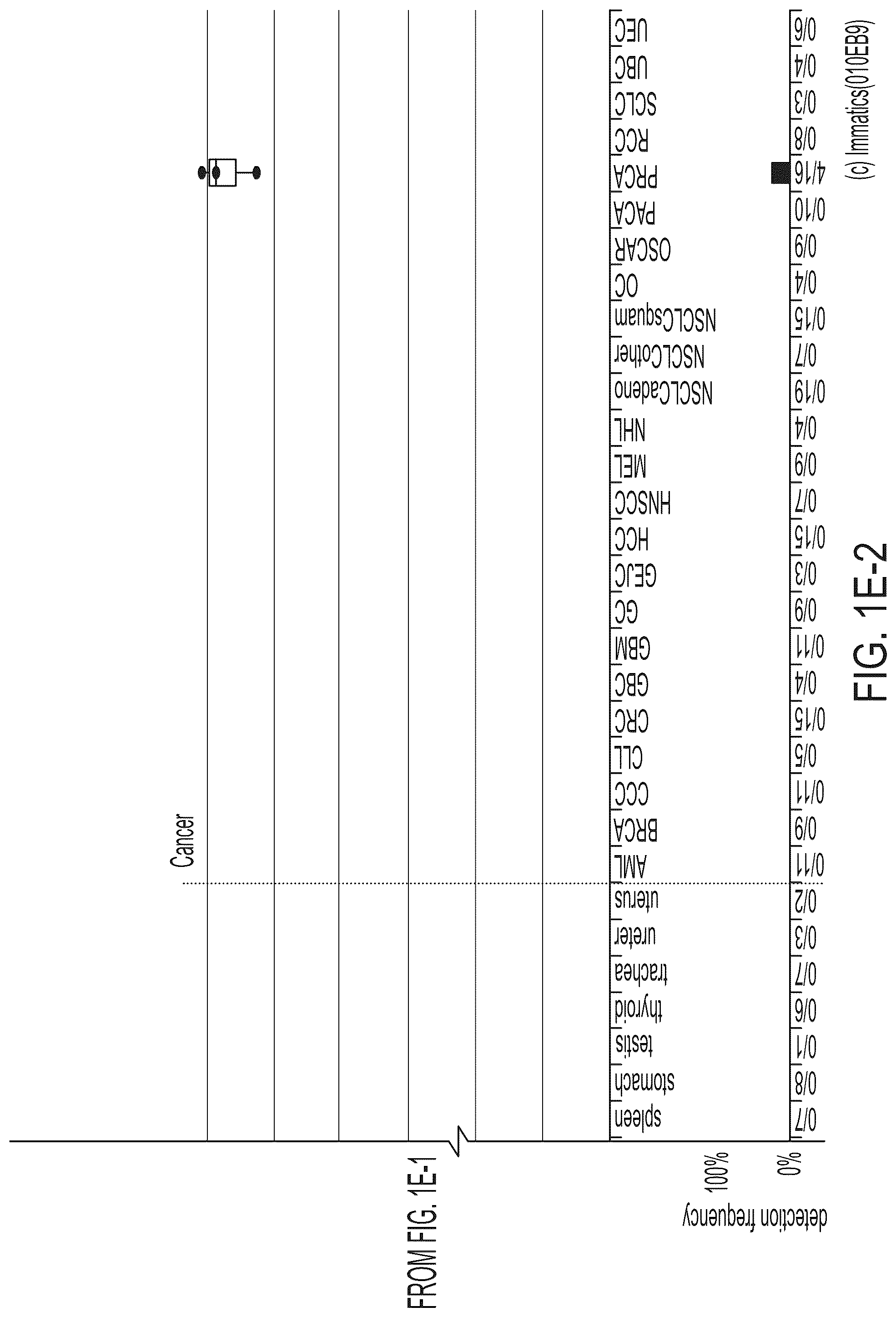 Patent US12318407 Figure 10 – Peptides displayed by HLA for use in immunotherapy against different types of cancers
