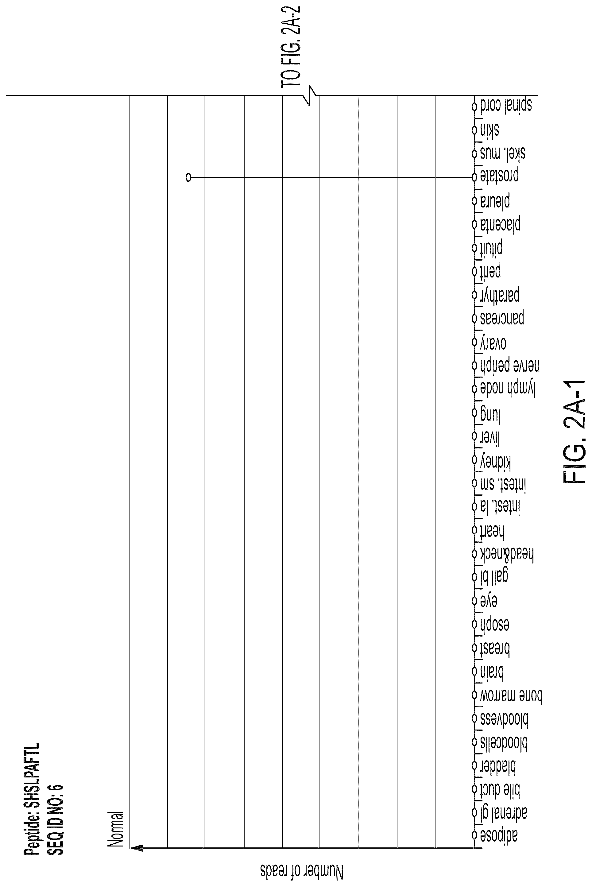 Patent US12318407 Figure 11 – Peptides displayed by HLA for use in immunotherapy against different types of cancers