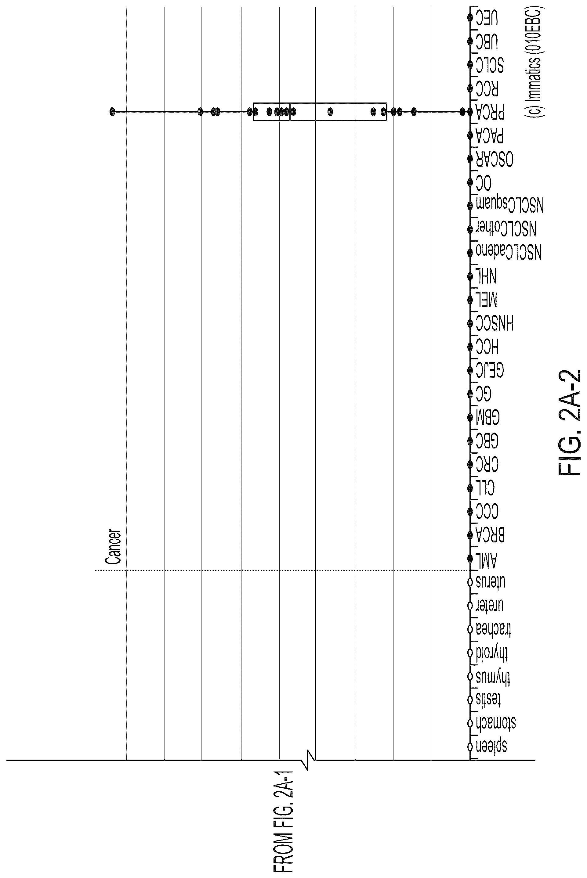 Patent US12318407 Figure 12 – Peptides displayed by HLA for use in immunotherapy against different types of cancers