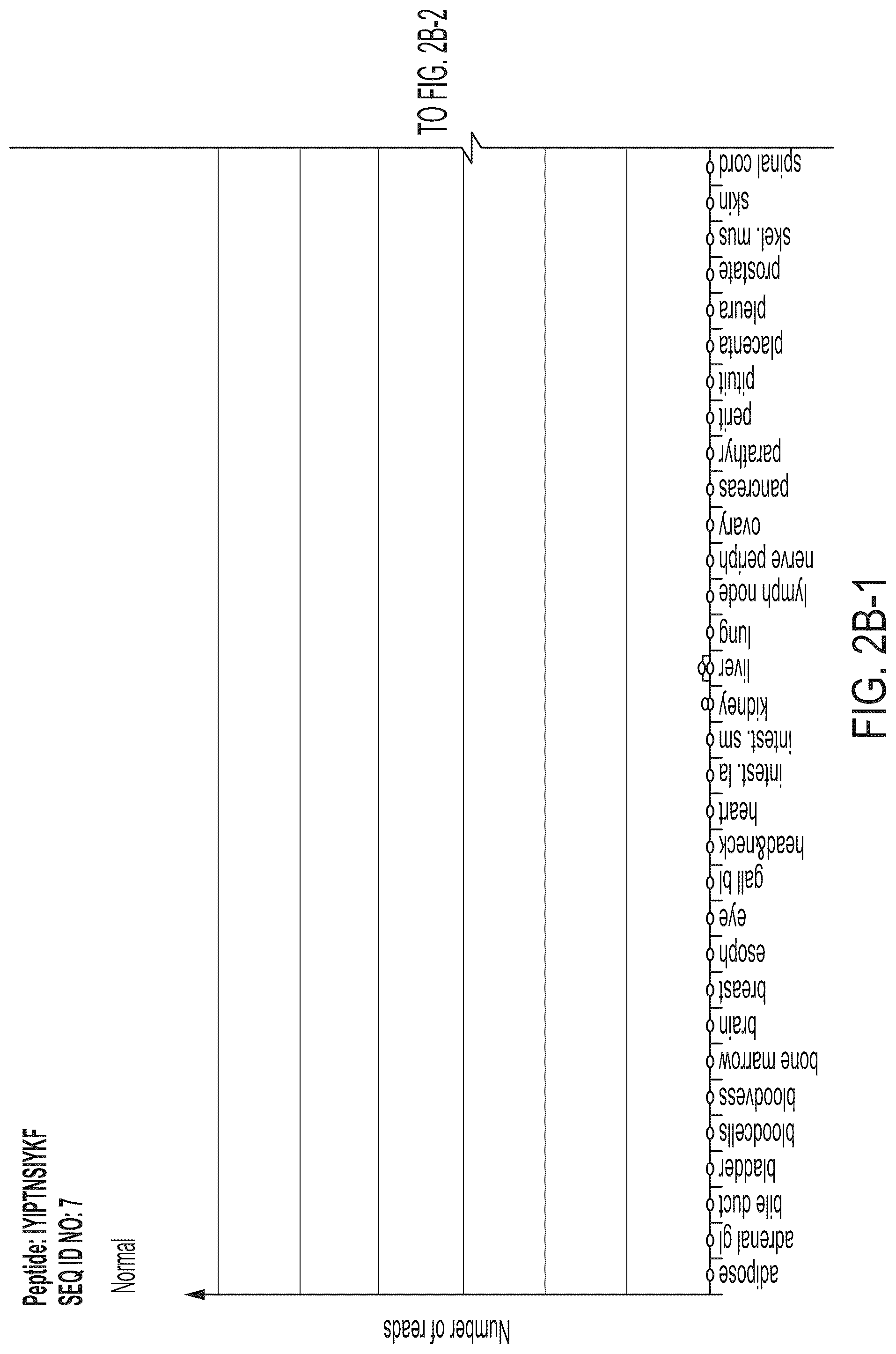 Patent US12318407 Figure 13 – Peptides displayed by HLA for use in immunotherapy against different types of cancers