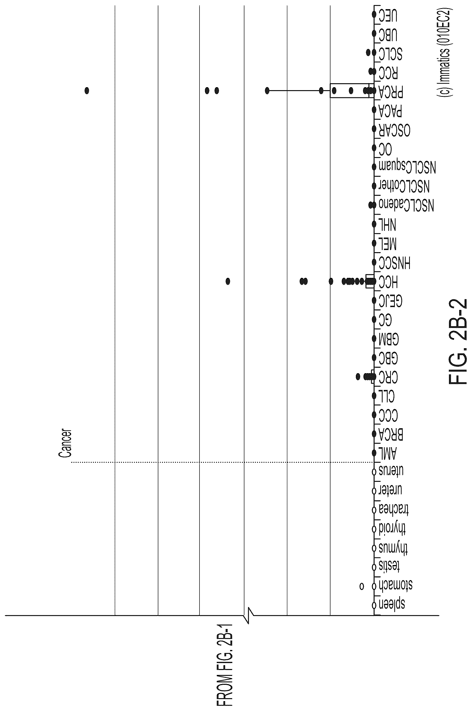 Patent US12318407 Figure 14 – Peptides displayed by HLA for use in immunotherapy against different types of cancers