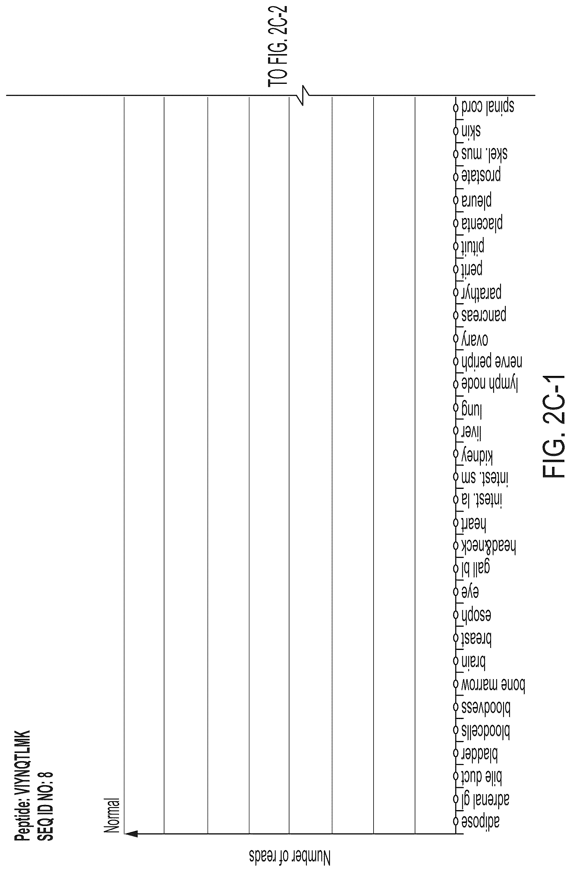 Patent US12318407 Figure 15 – Peptides displayed by HLA for use in immunotherapy against different types of cancers