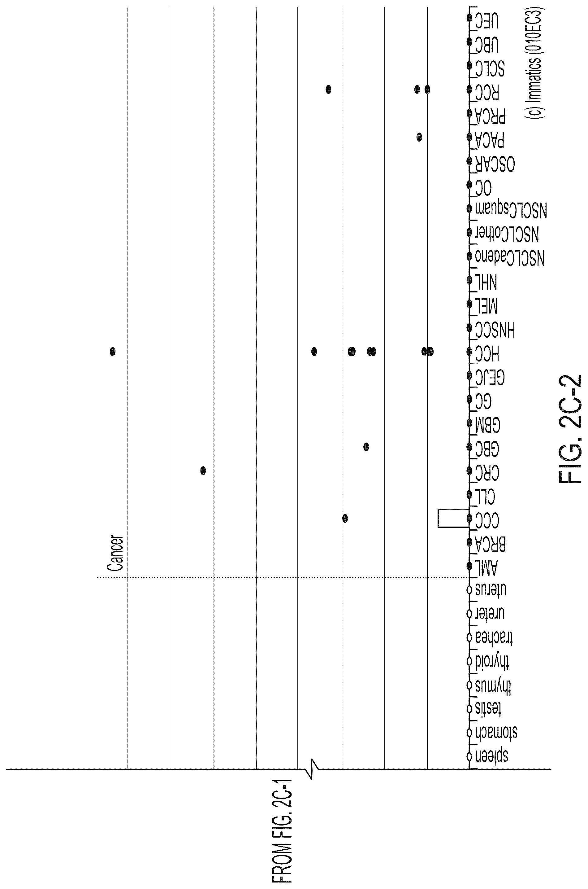 Patent US12318407 Figure 16 – Peptides displayed by HLA for use in immunotherapy against different types of cancers