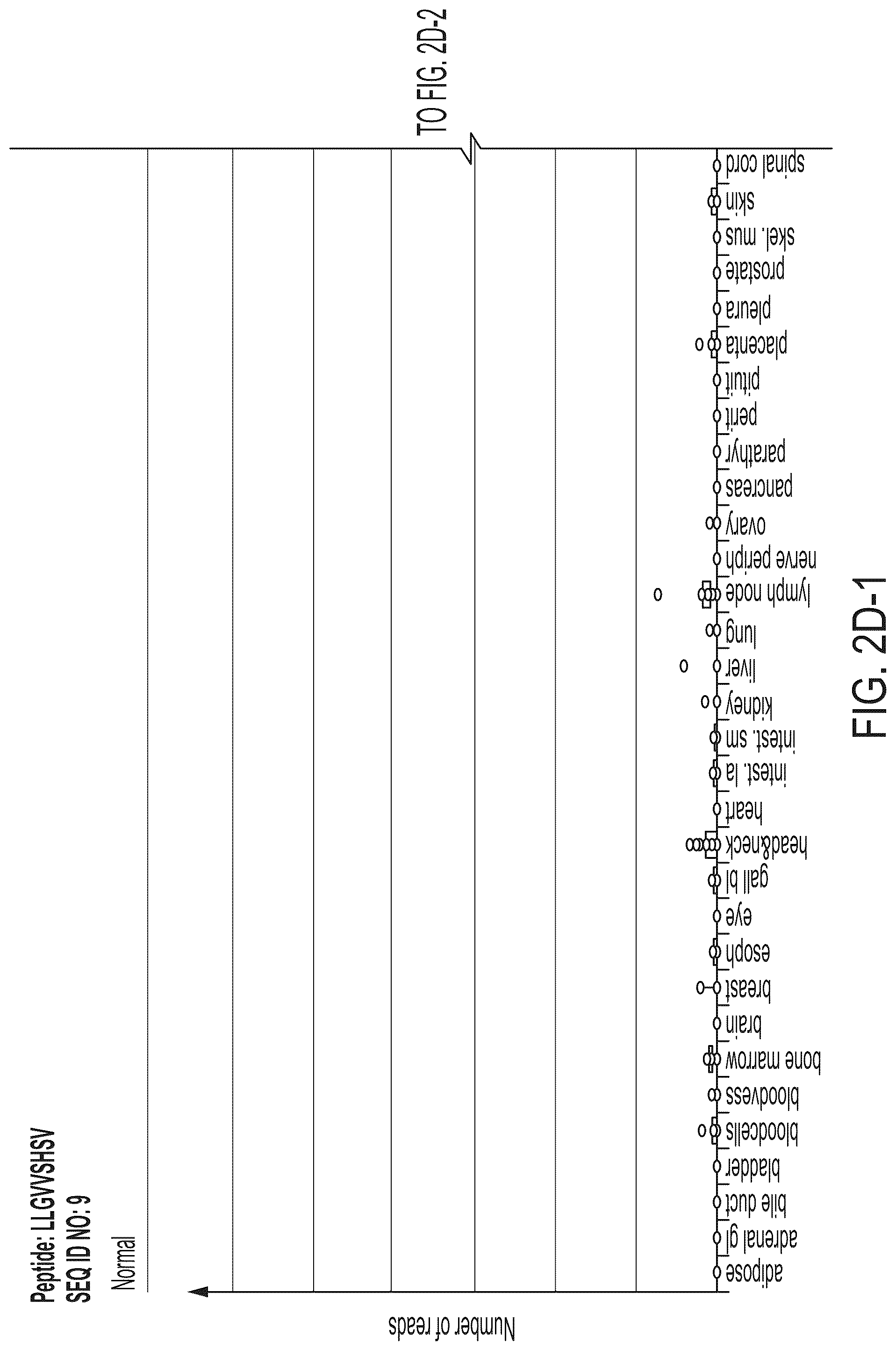 Patent US12318407 Figure 17 – Peptides displayed by HLA for use in immunotherapy against different types of cancers