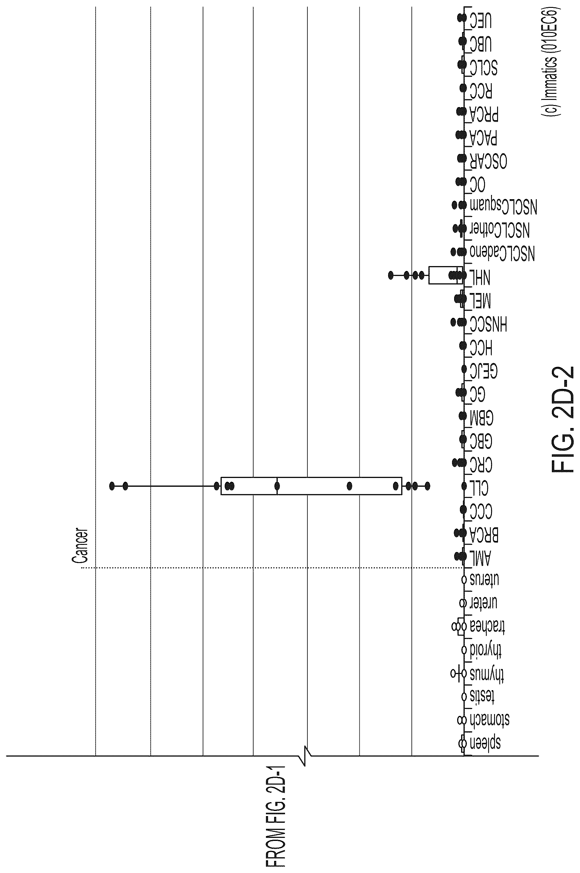 Patent US12318407 Figure 18 – Peptides displayed by HLA for use in immunotherapy against different types of cancers