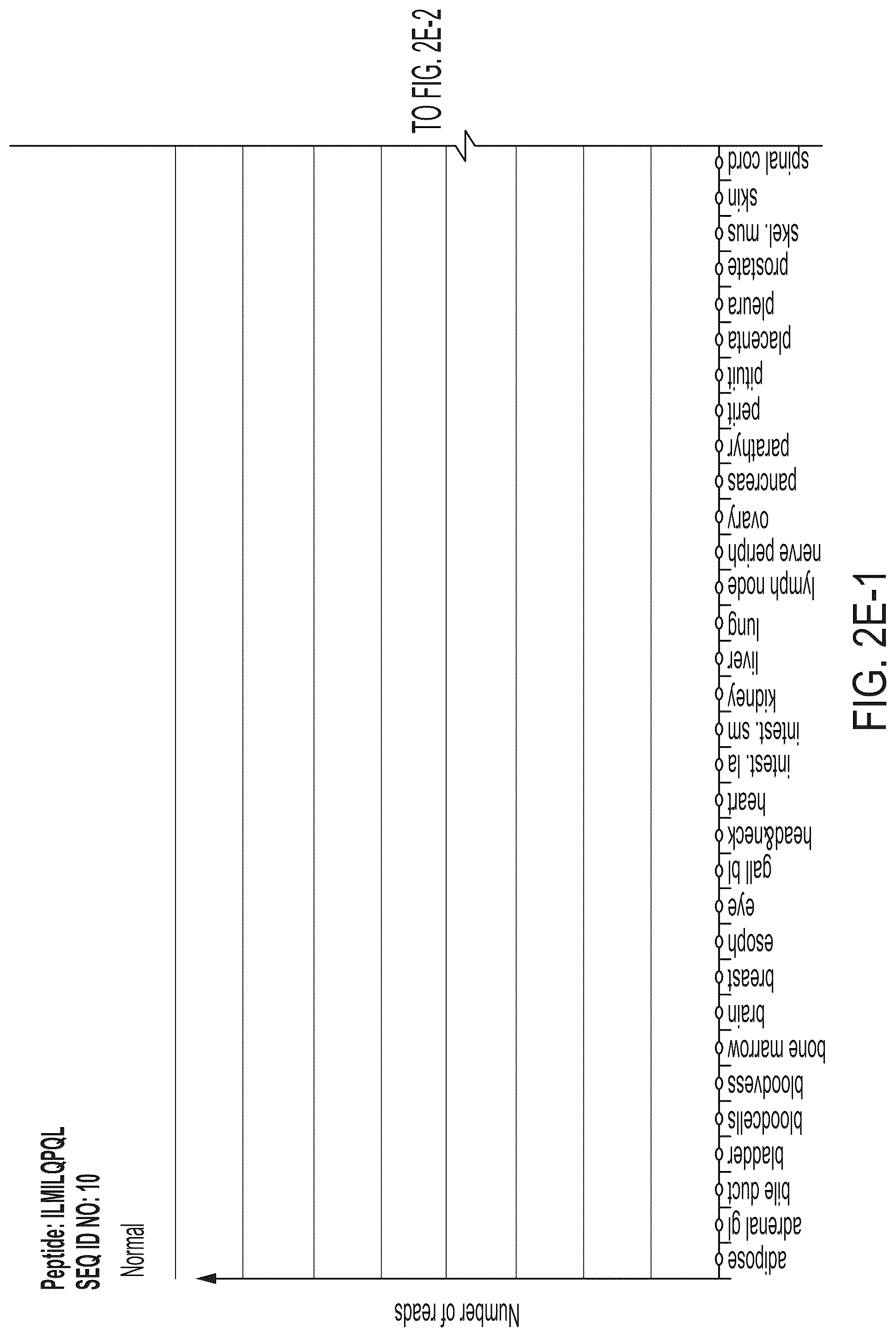 Patent US12318407 Figure 19 – Peptides displayed by HLA for use in immunotherapy against different types of cancers