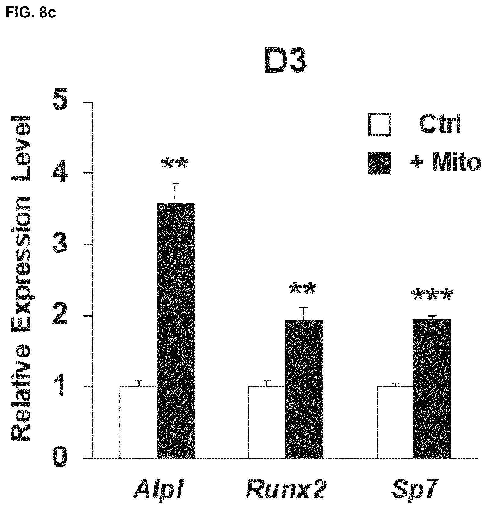 Patent US12318409 Figure 13 – Pharmaceutical composition for promoting osteogenesis, comprising osteoblast-derived mitochondria