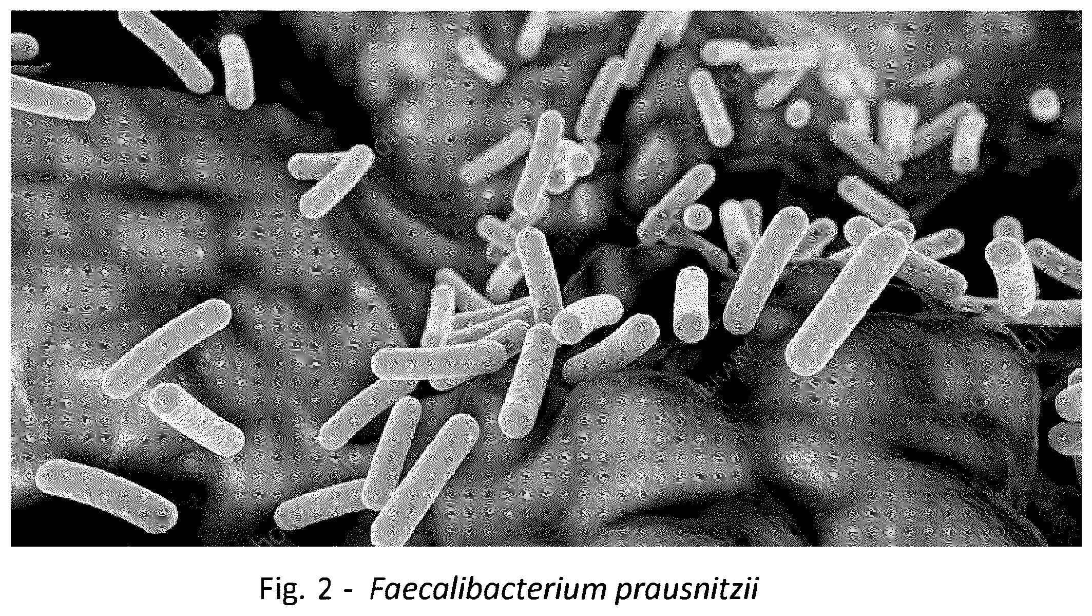 Patent US12318411 Figure 2 – Probiotic method and composition for maintaining a healthy vaginal microbiome