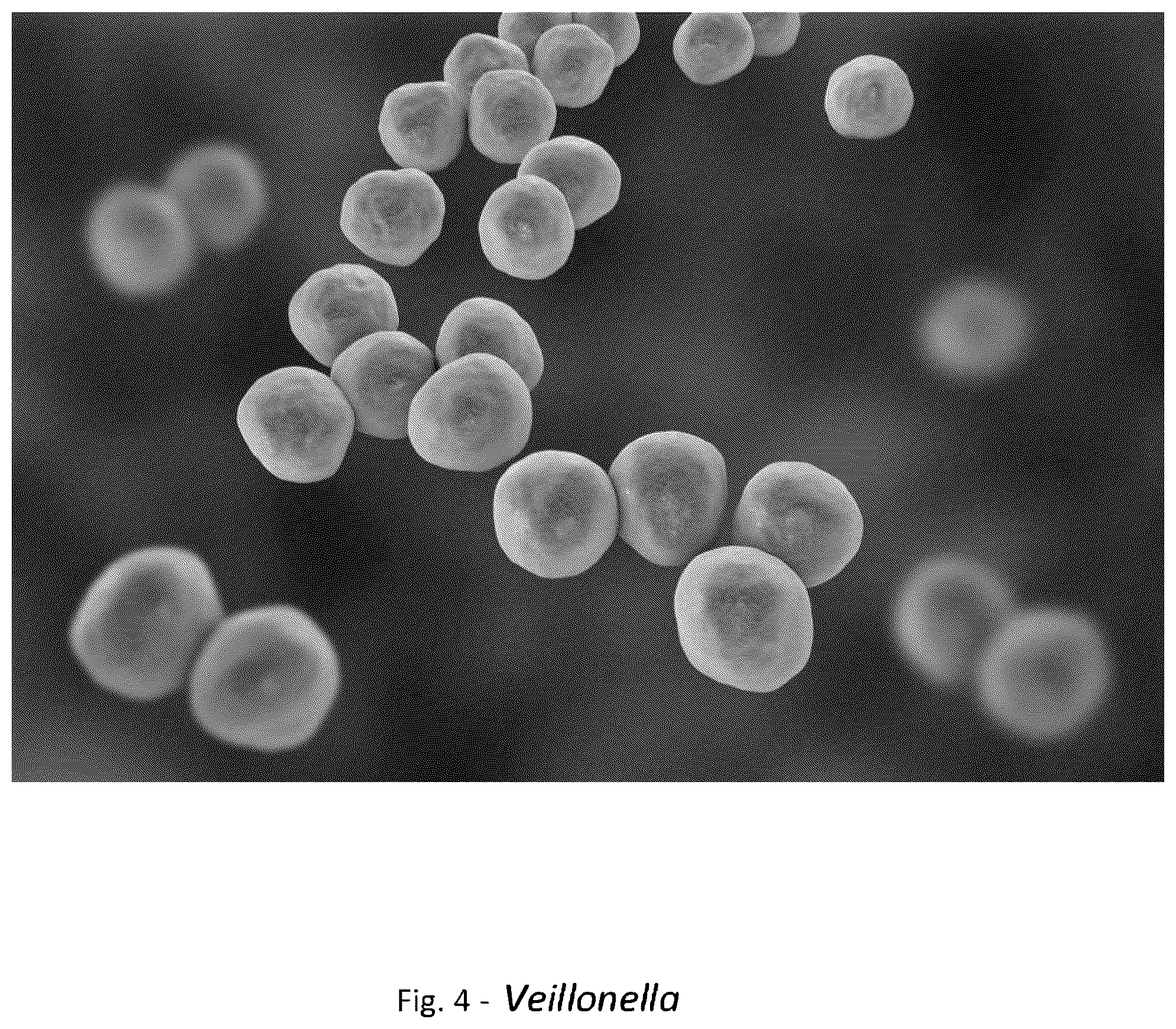 Patent US12318411 Figure 4 – Probiotic method and composition for maintaining a healthy vaginal microbiome