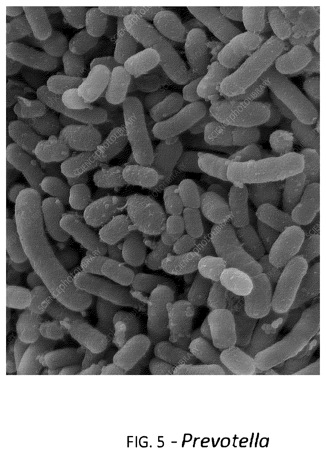 Patent US12318411 Figure 5 – Probiotic method and composition for maintaining a healthy vaginal microbiome
