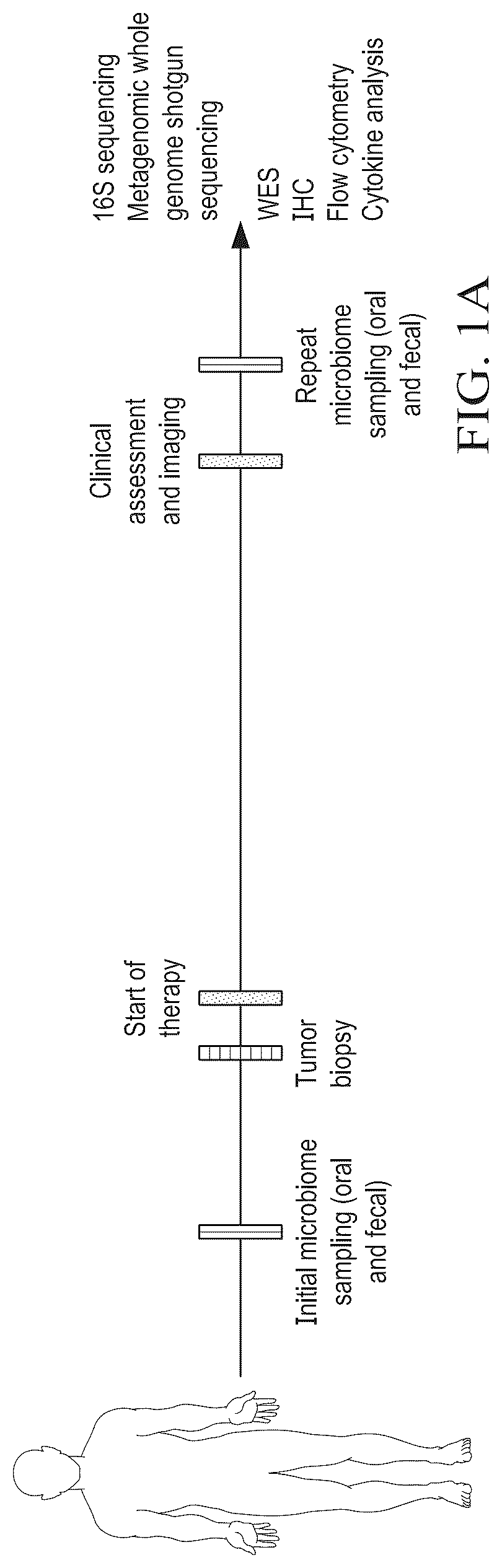 Patent US12318413 — Methods for enhancing immune checkpoint blockade therapy by modulating the microbiome — Figure 1