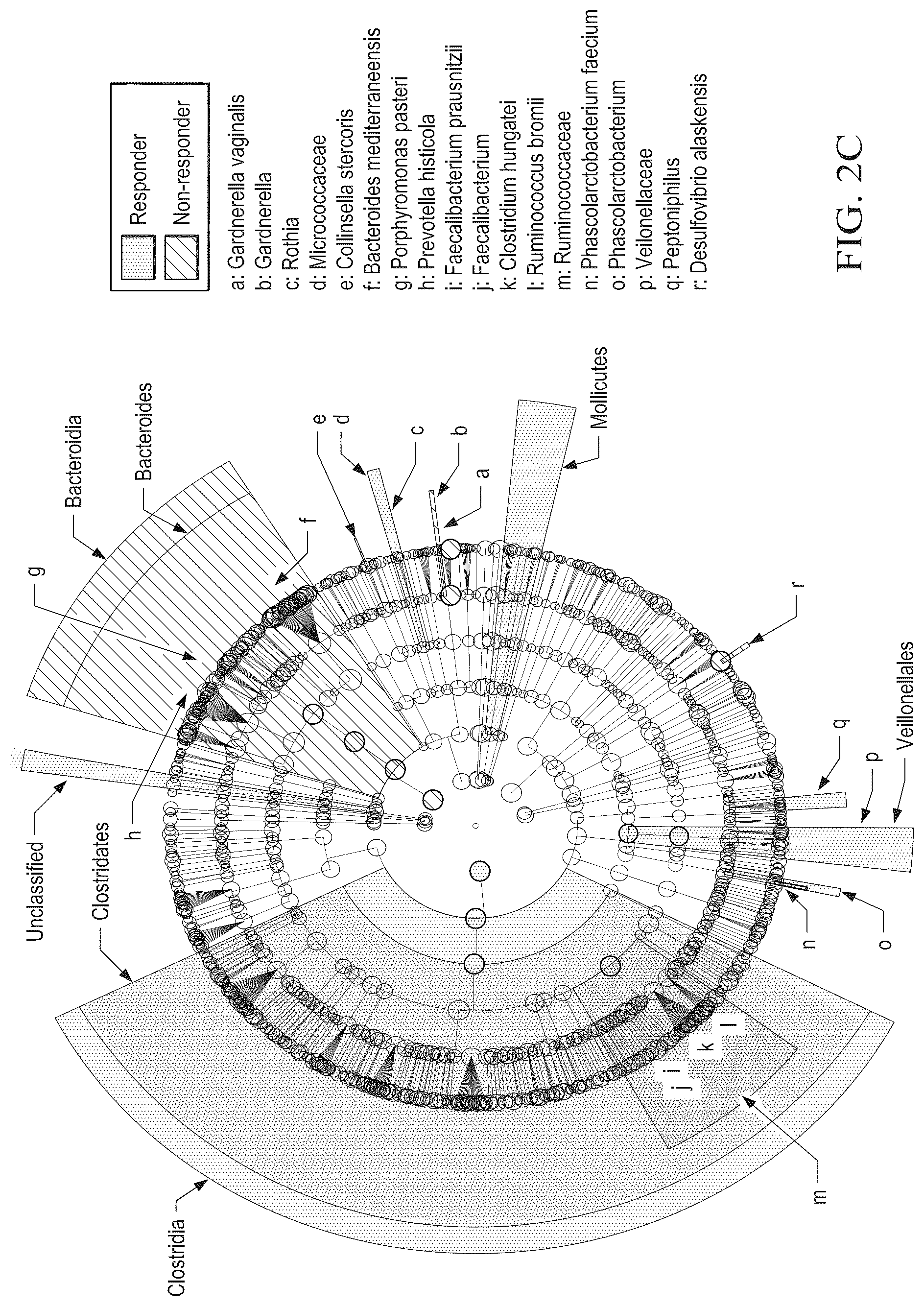 Patent US12318413 Figure 10 – Methods for enhancing immune checkpoint blockade therapy by modulating the microbiome