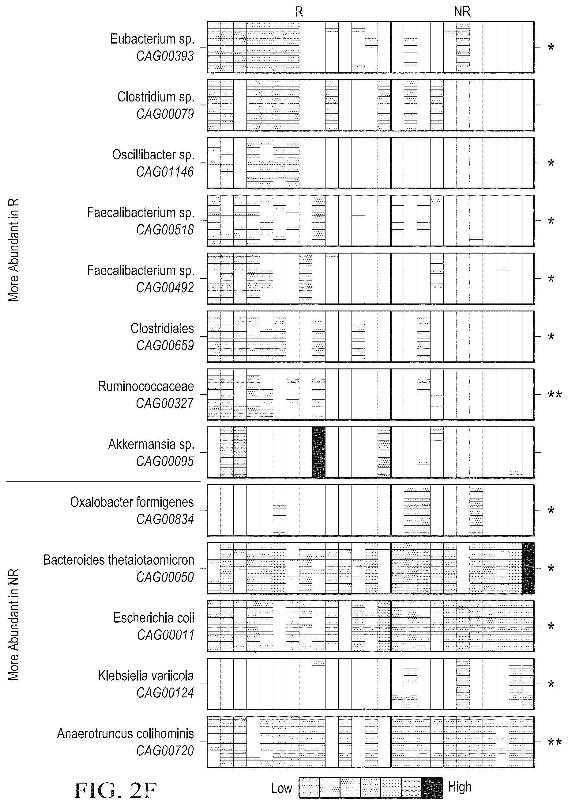 Patent US12318413 Figure 13 – Methods for enhancing immune checkpoint blockade therapy by modulating the microbiome