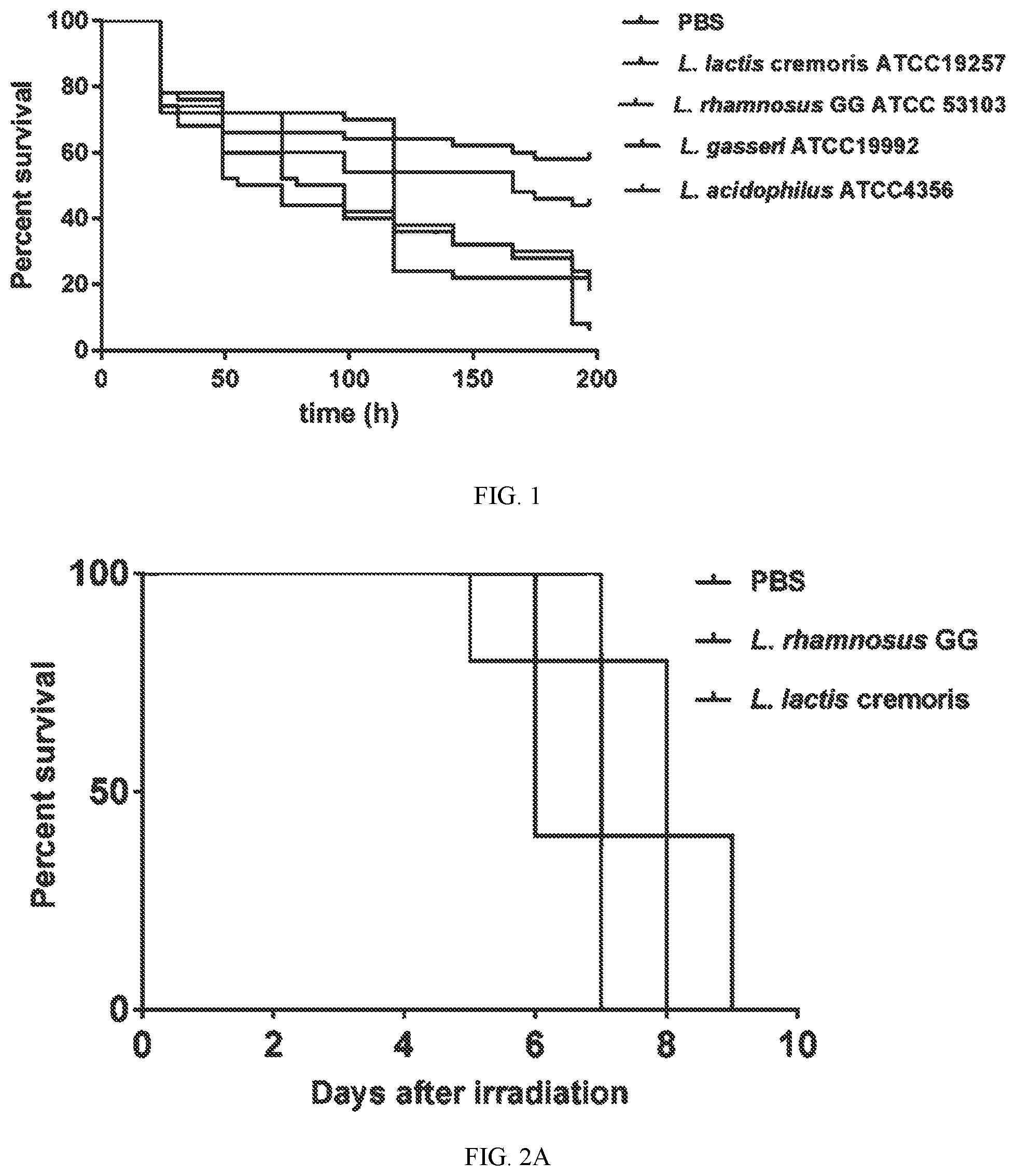 Patent US12318415 — Lactococcus bacteria and uses thereof — Figure 1
