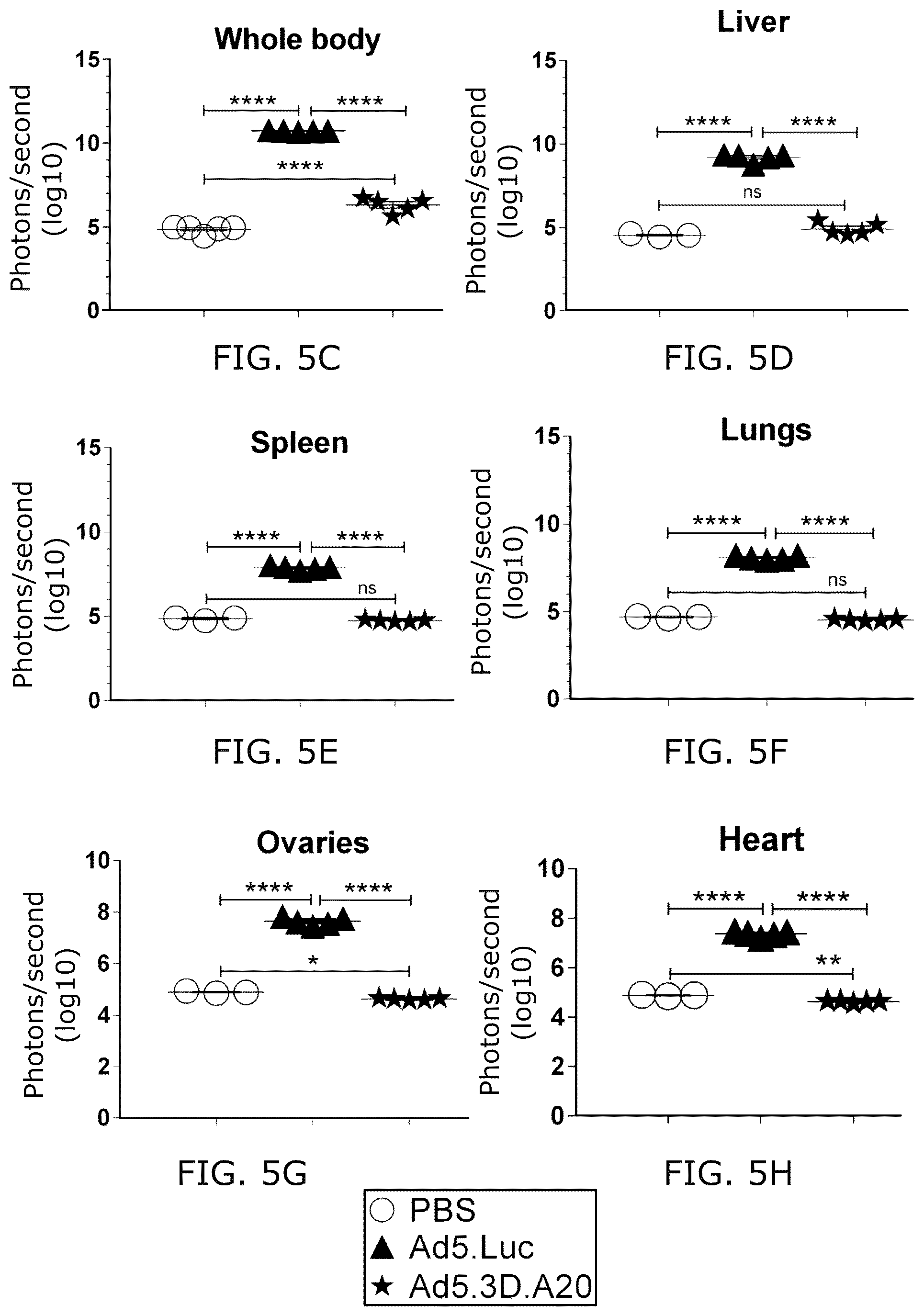 Patent US12318418 Figure 8 – Modified adenoviruses