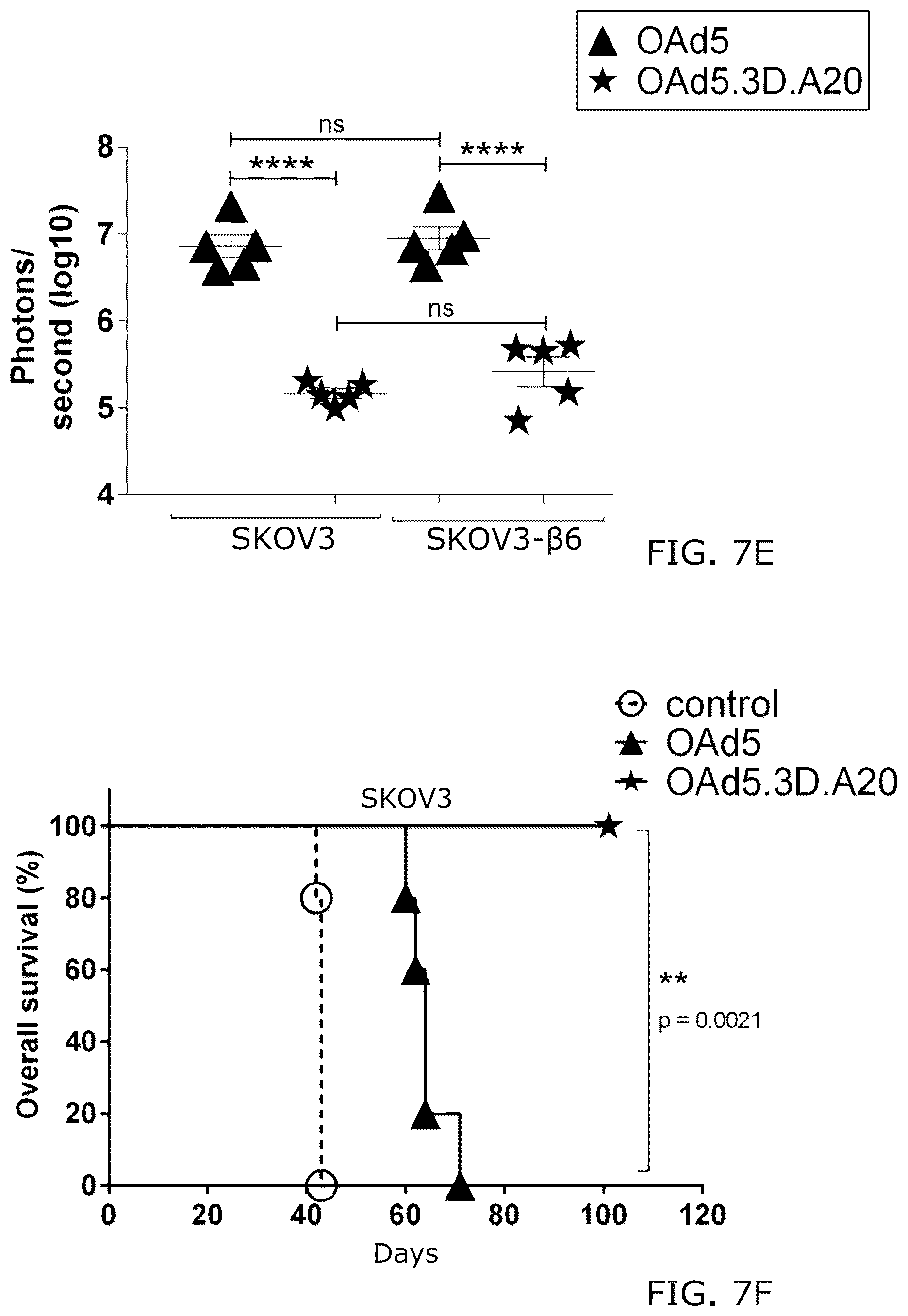 Patent US12318418 Figure 12 – Modified adenoviruses
