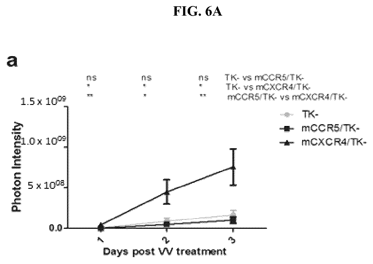 Patent US12318419 Figure 7 – Platform oncolytic vector for systemic delivery