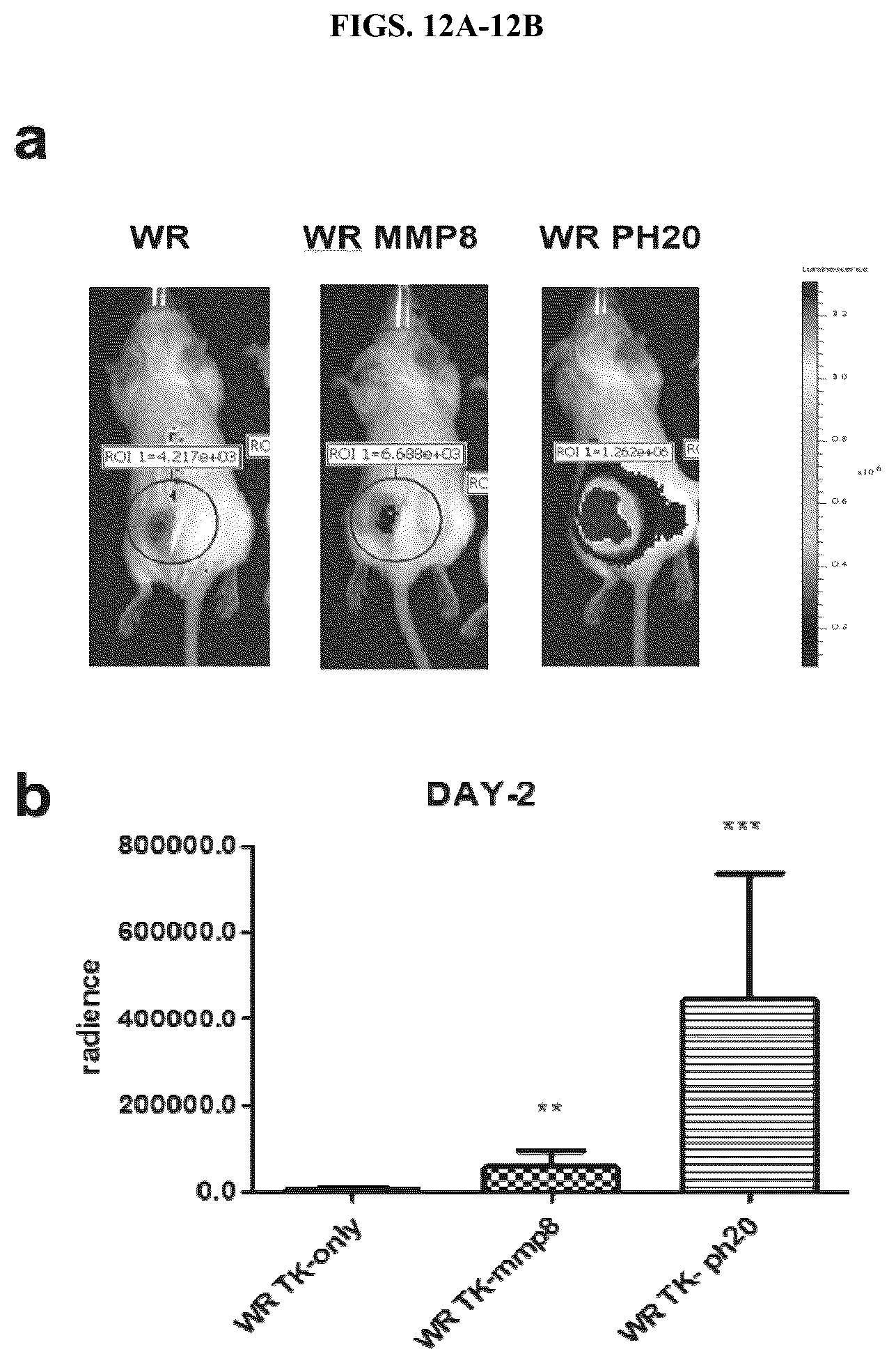 Patent US12318419 Figure 17 – Platform oncolytic vector for systemic delivery