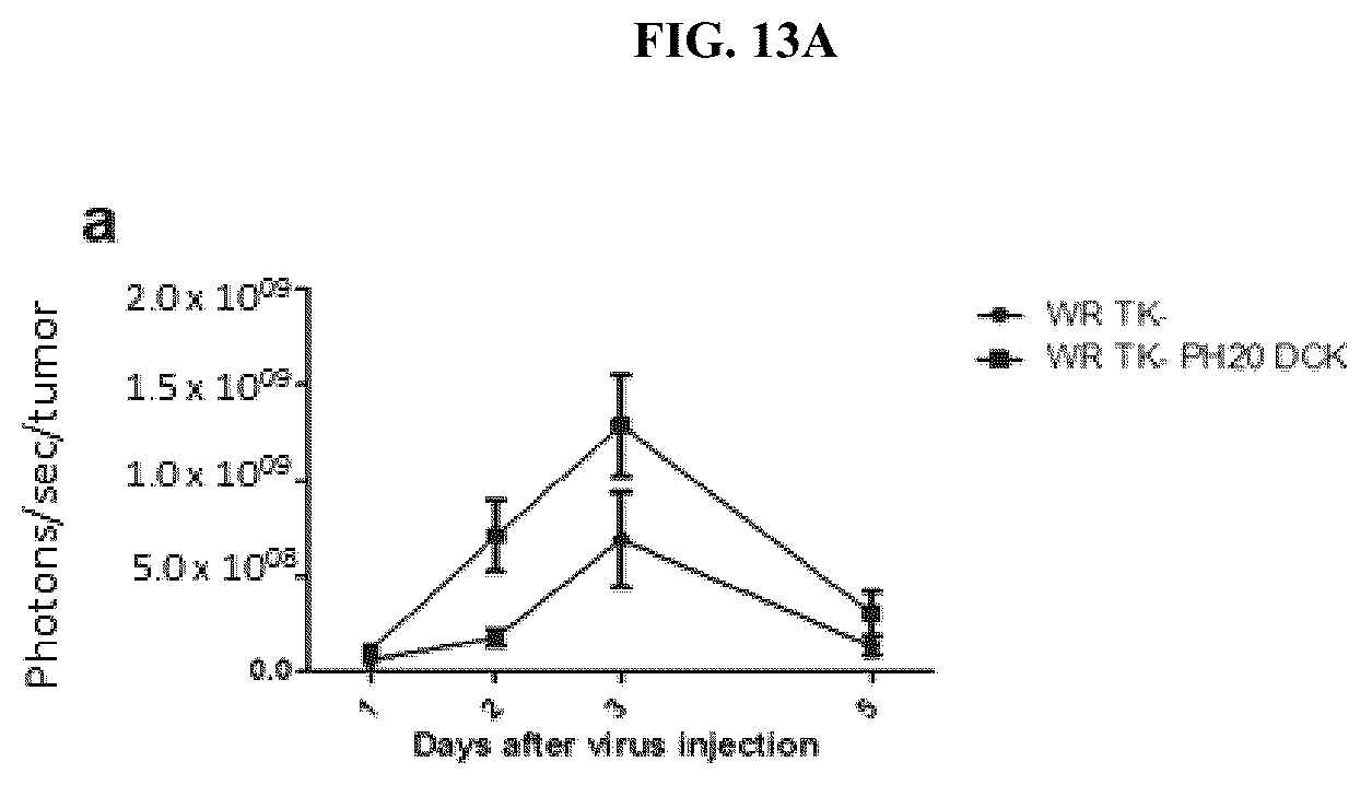 Patent US12318419 Figure 18 – Platform oncolytic vector for systemic delivery