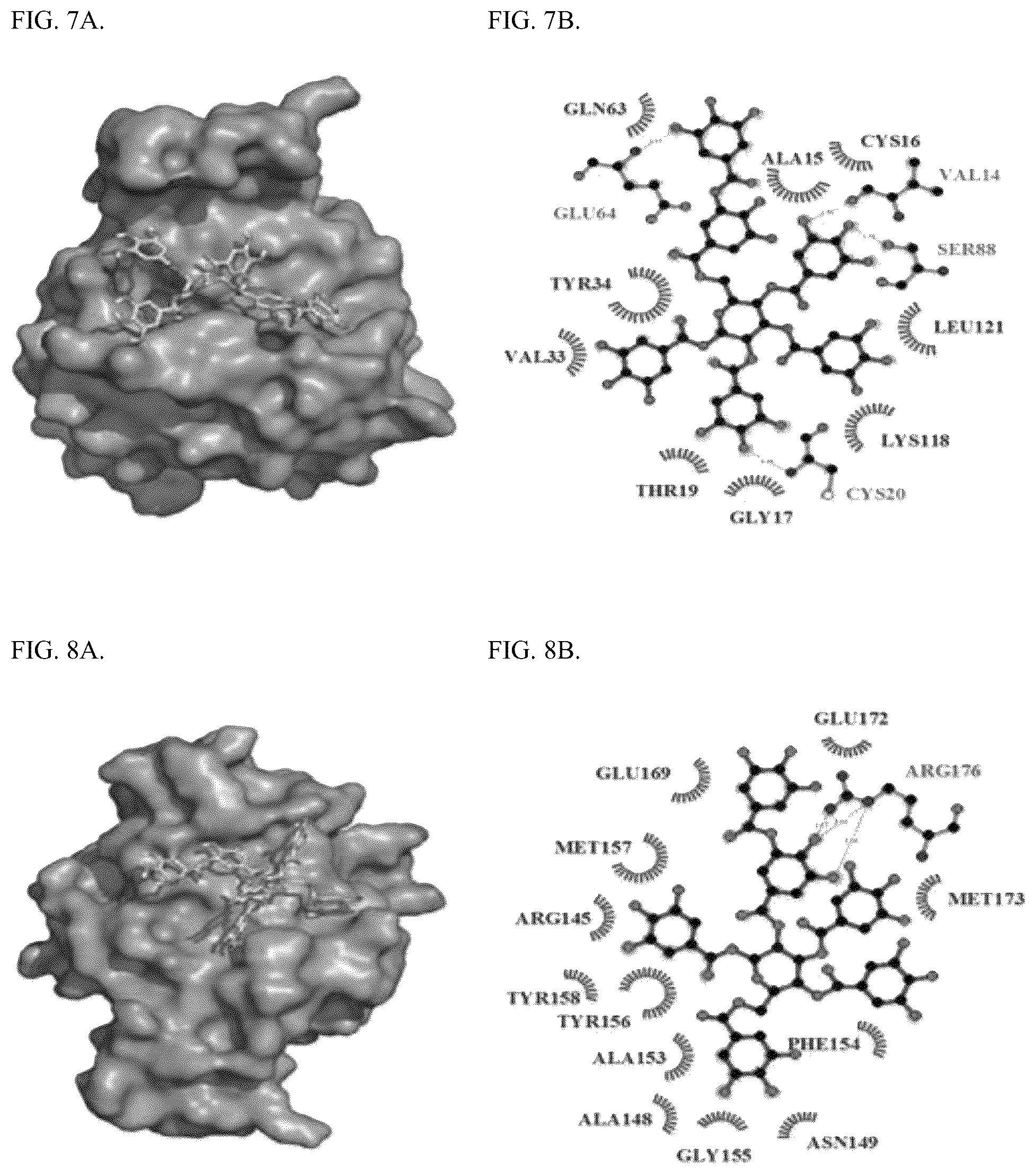Patent US12318422 Figure 4 – Tannin-based antiproliferative pharmaceutical
