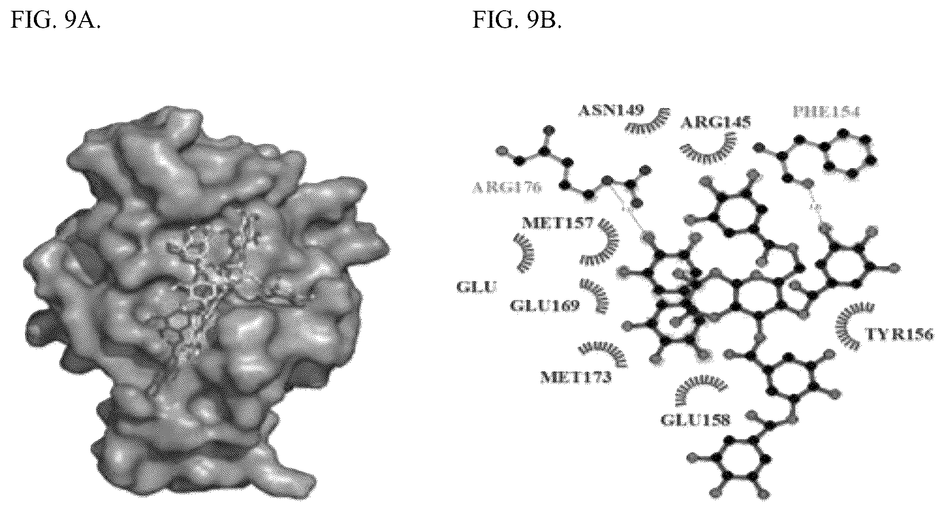 Patent US12318422 Figure 5 – Tannin-based antiproliferative pharmaceutical