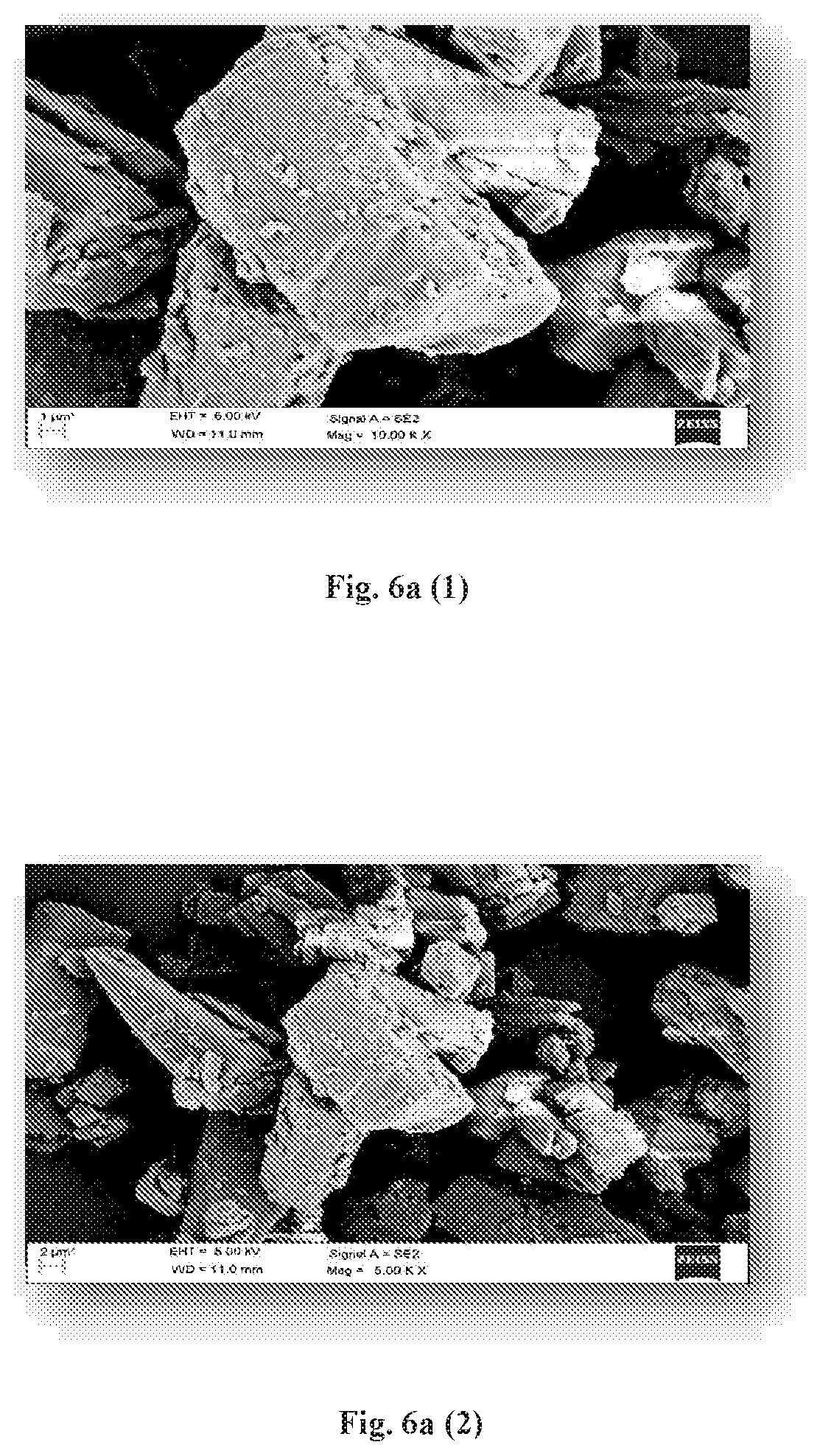 Patent US12318425 Figure 12 – Formulation comprising water soluble particles of a non-curcuminoid and a curcuminoid
