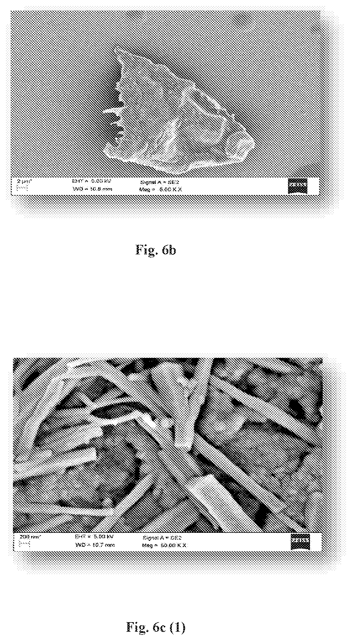 Patent US12318425 Figure 13 – Formulation comprising water soluble particles of a non-curcuminoid and a curcuminoid