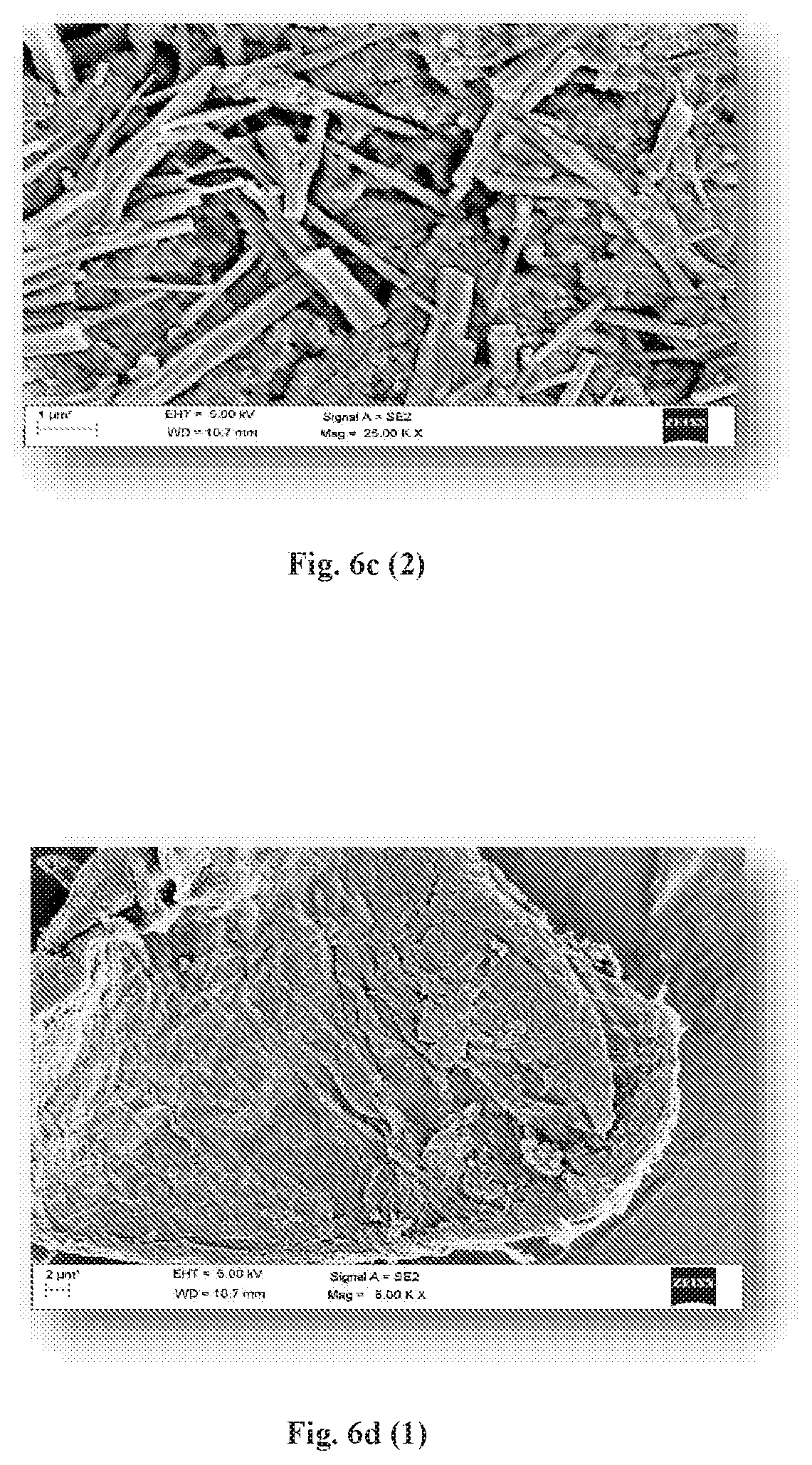 Patent US12318425 Figure 14 – Formulation comprising water soluble particles of a non-curcuminoid and a curcuminoid