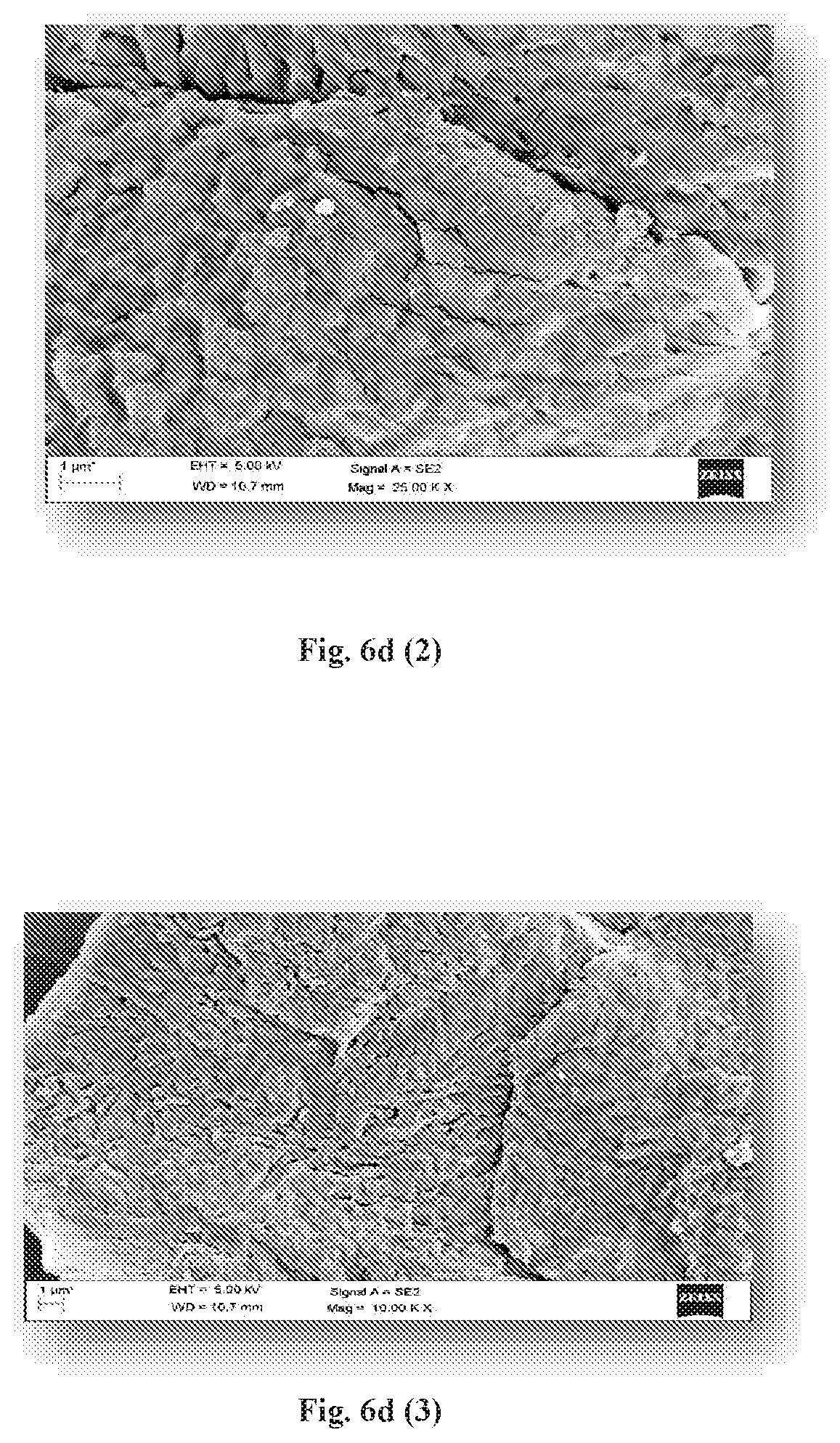 Patent US12318425 Figure 15 – Formulation comprising water soluble particles of a non-curcuminoid and a curcuminoid