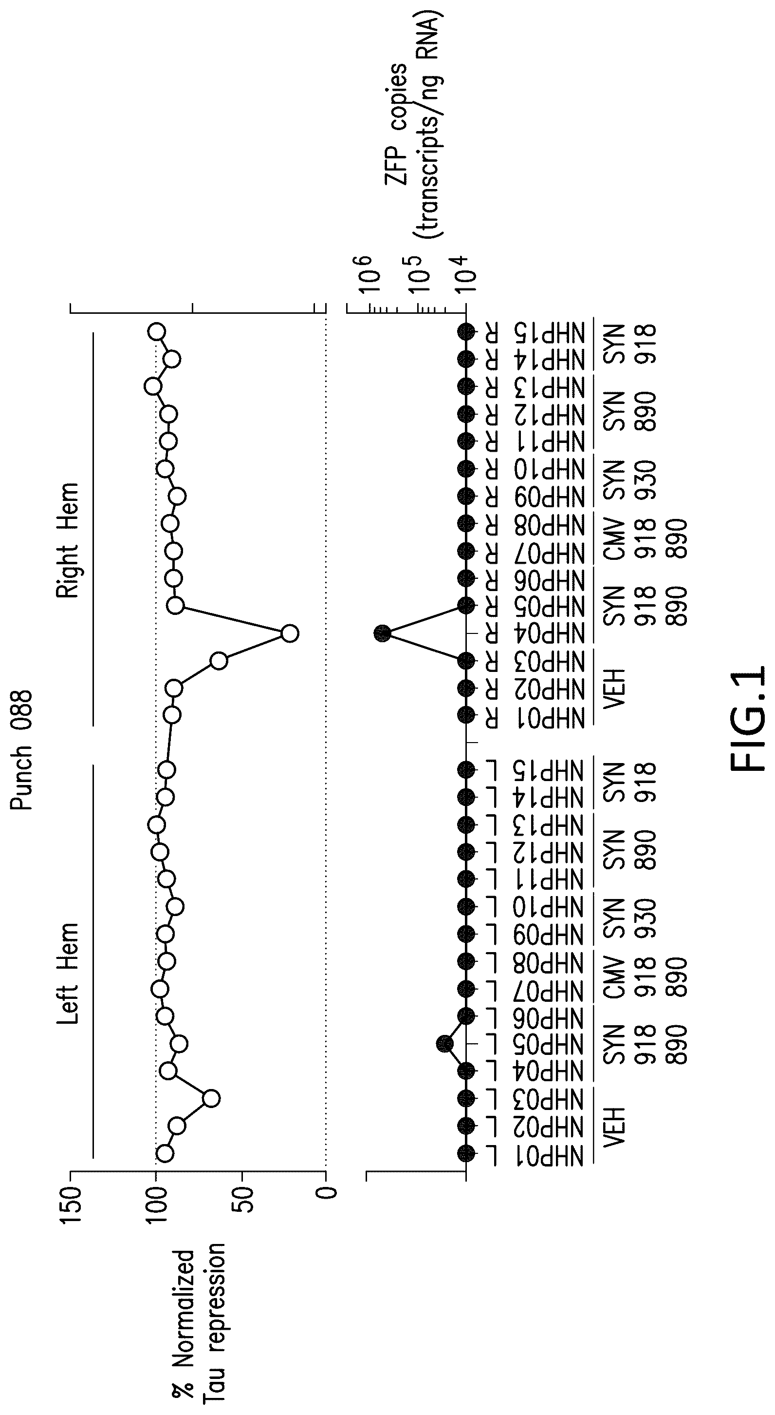 Patent US12318427 — Methods and compositions for modulation of tau proteins — Figure 1