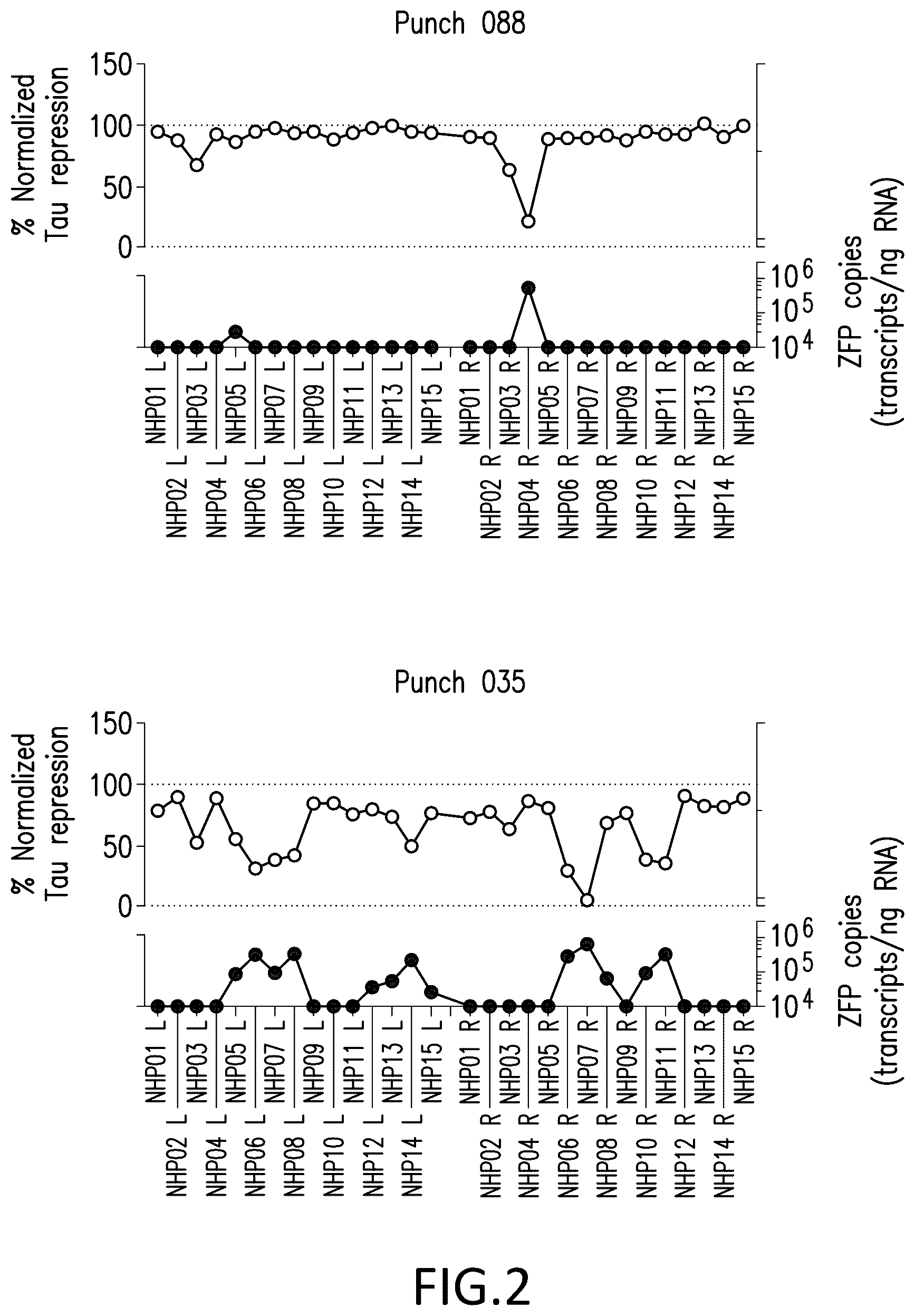 Patent US12318427 Figure 2 – Methods and compositions for modulation of tau proteins