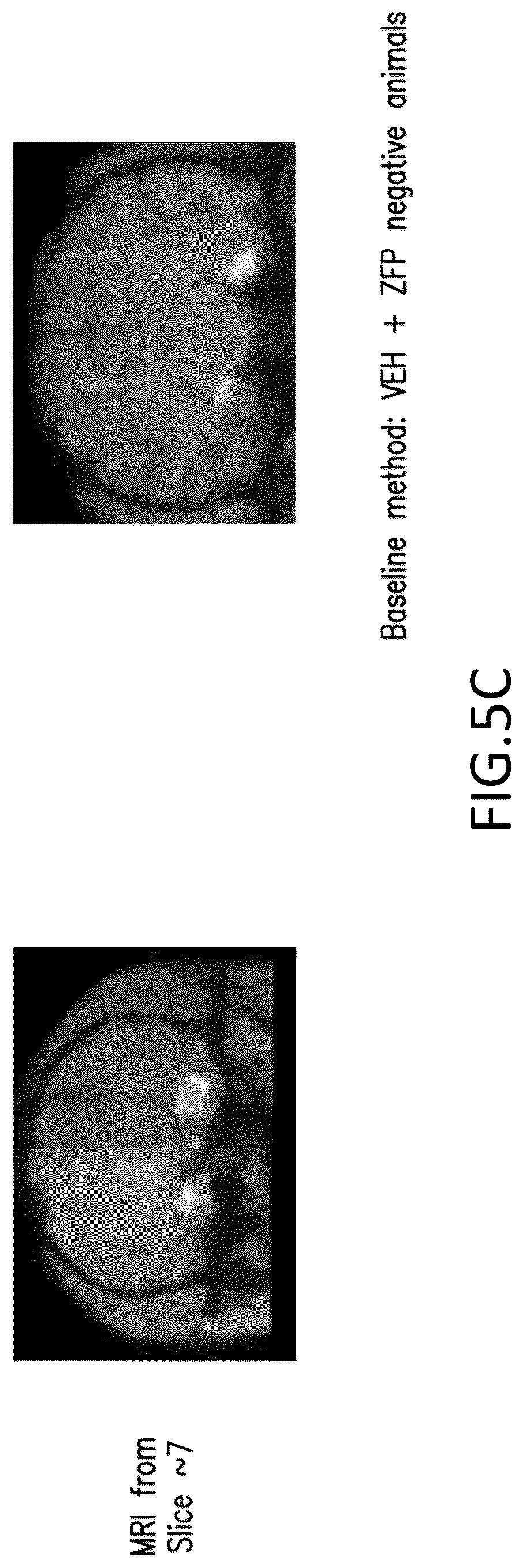 Patent US12318427 Figure 9 – Methods and compositions for modulation of tau proteins