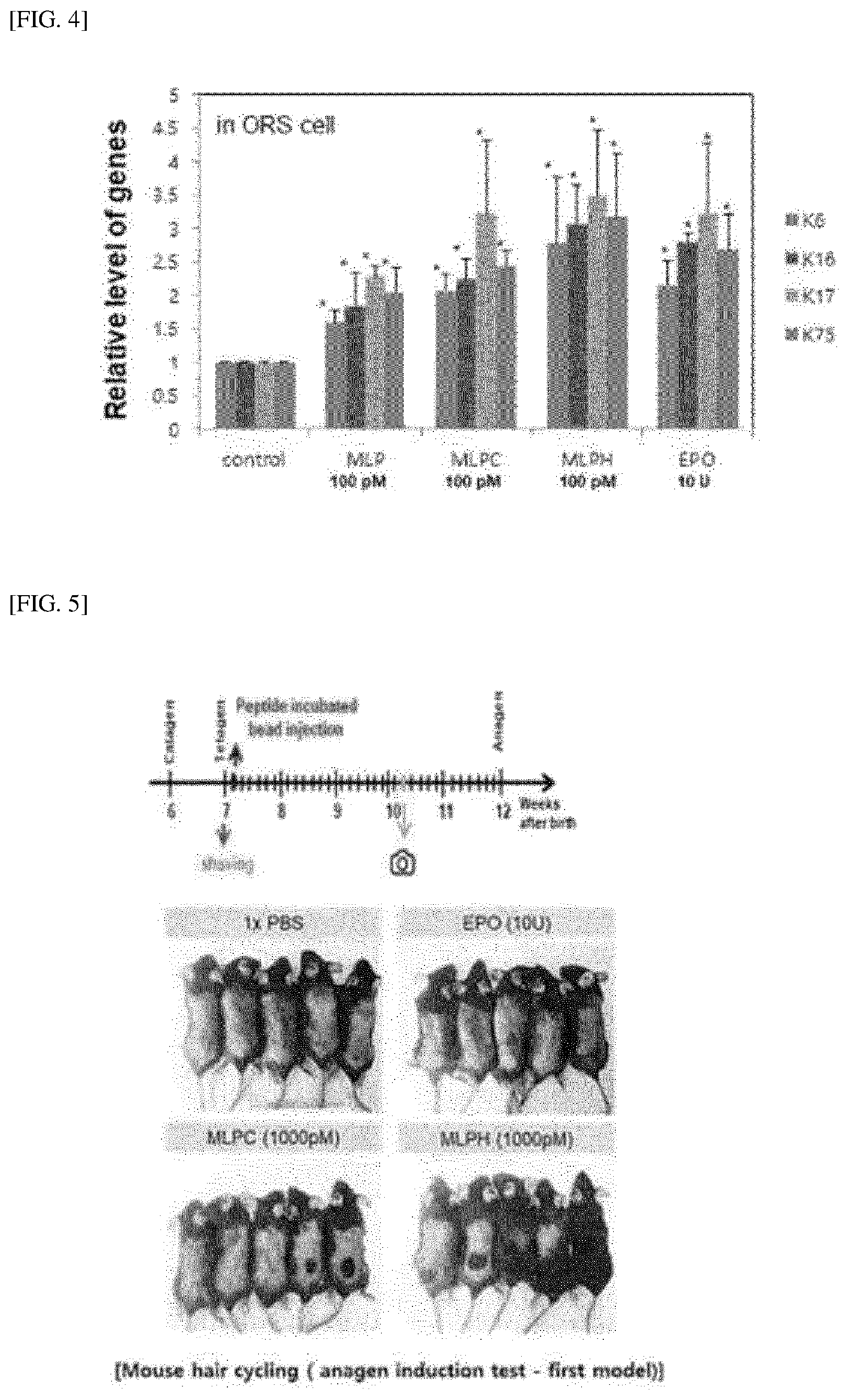 Patent US12318429 Figure 3 – Peptide for preventing or treating hair loss, and use thereof