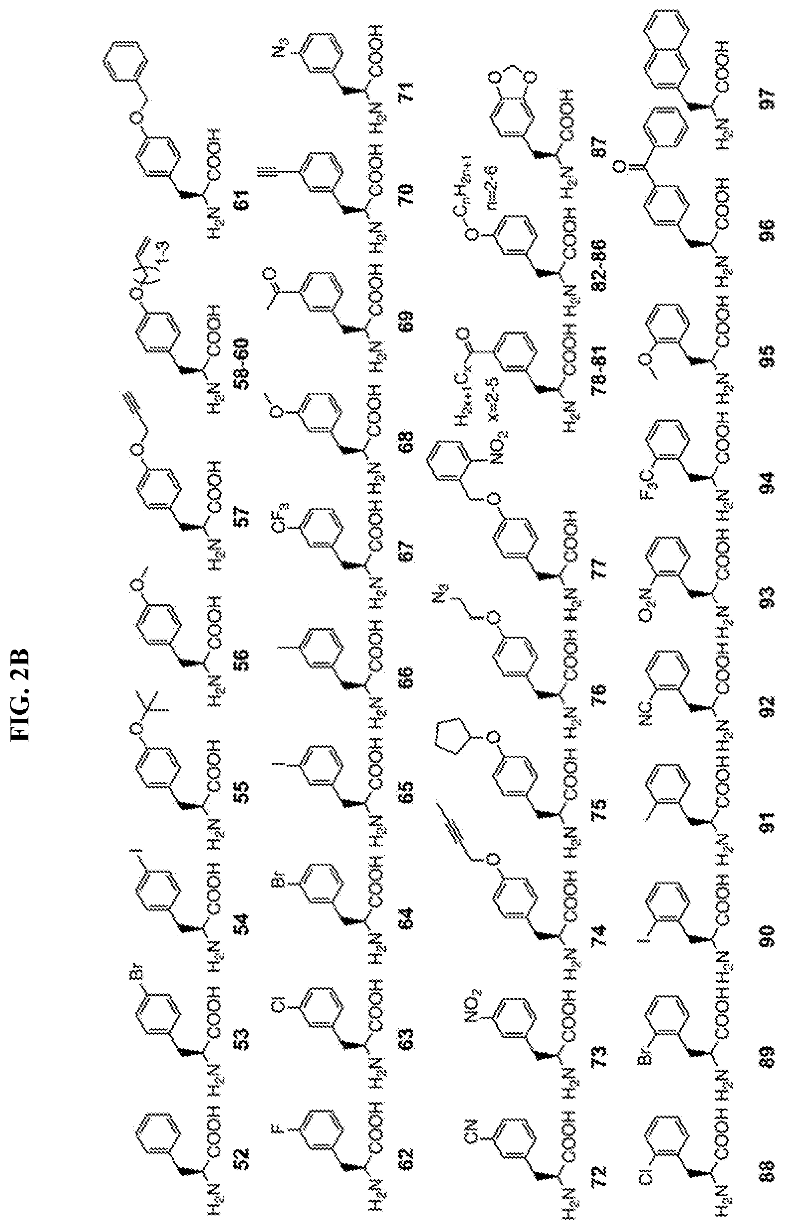 Patent US12318431 Figure 3 – Cytokine conjugates for the treatment of proliferative and infectious diseases
