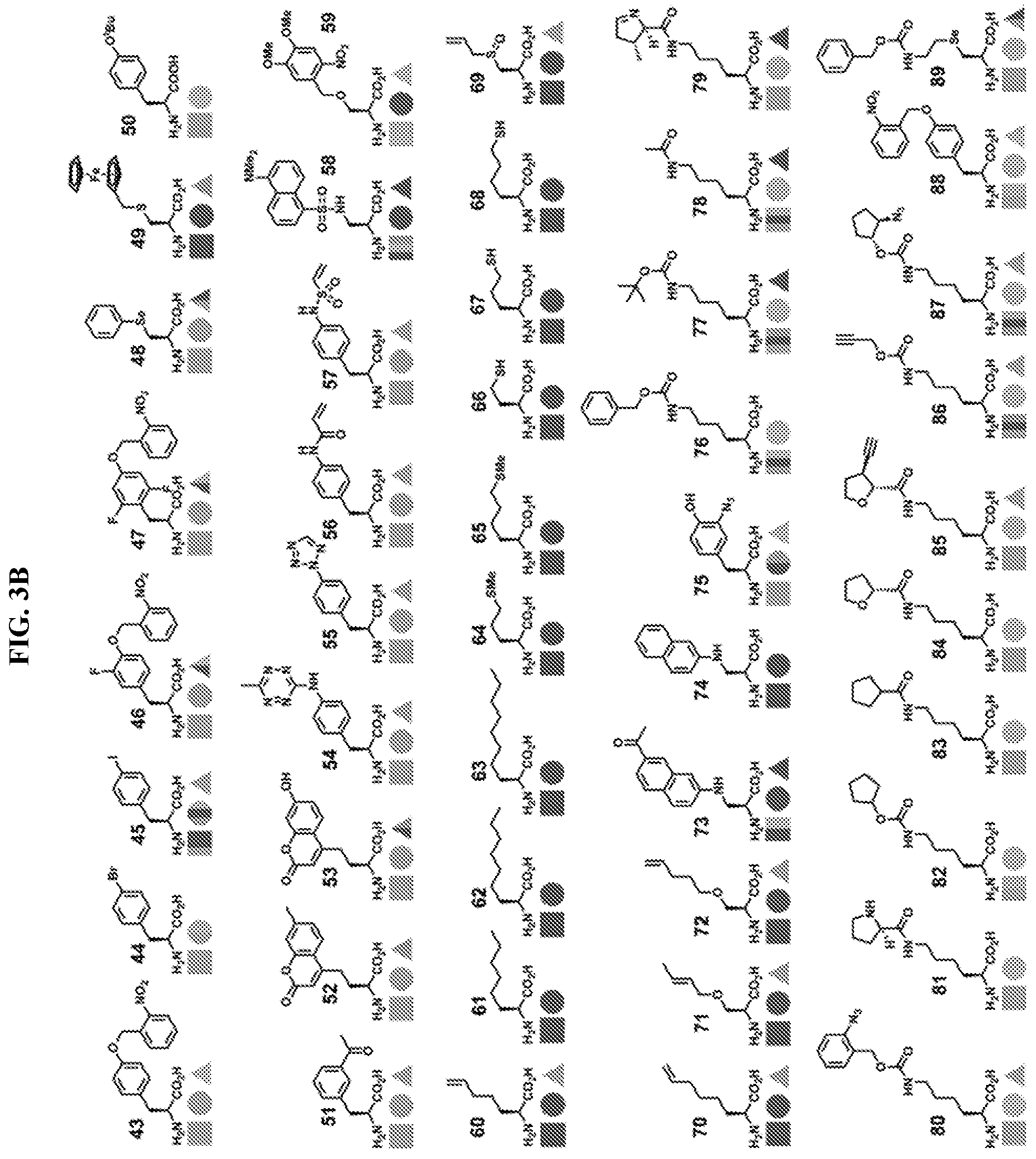 Patent US12318431 Figure 5 – Cytokine conjugates for the treatment of proliferative and infectious diseases